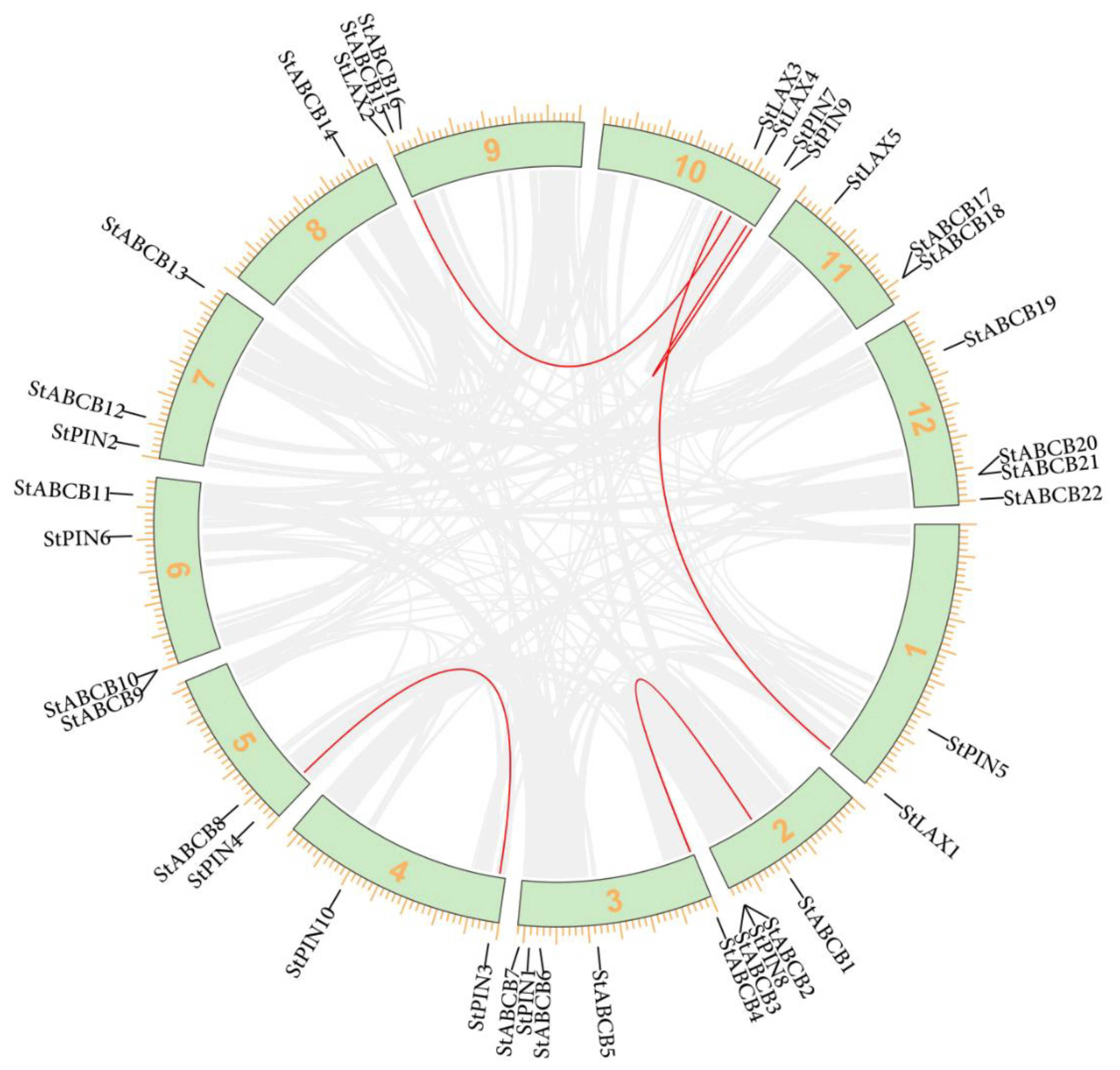 Biology 10 00127 g001
