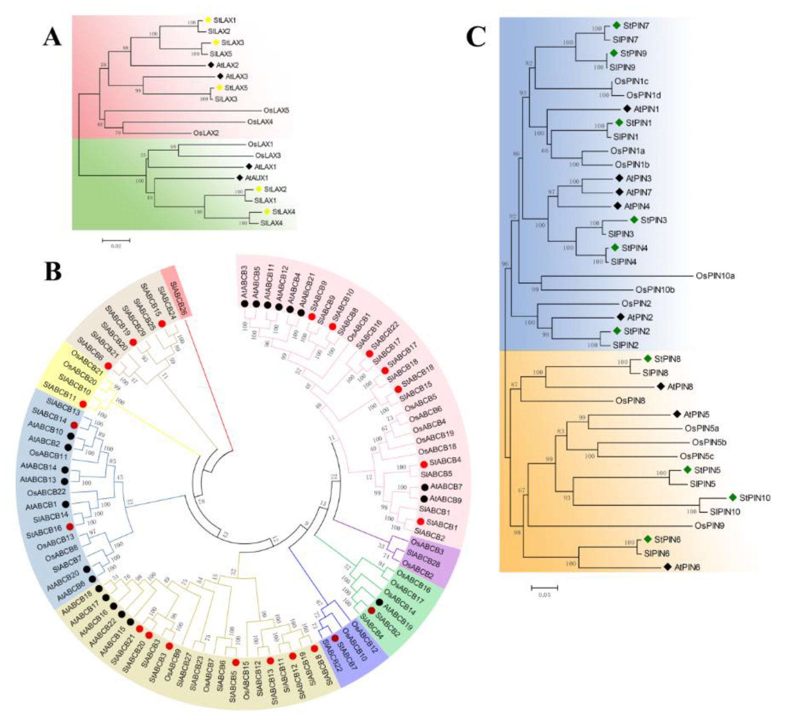 Biology 10 00127 g002