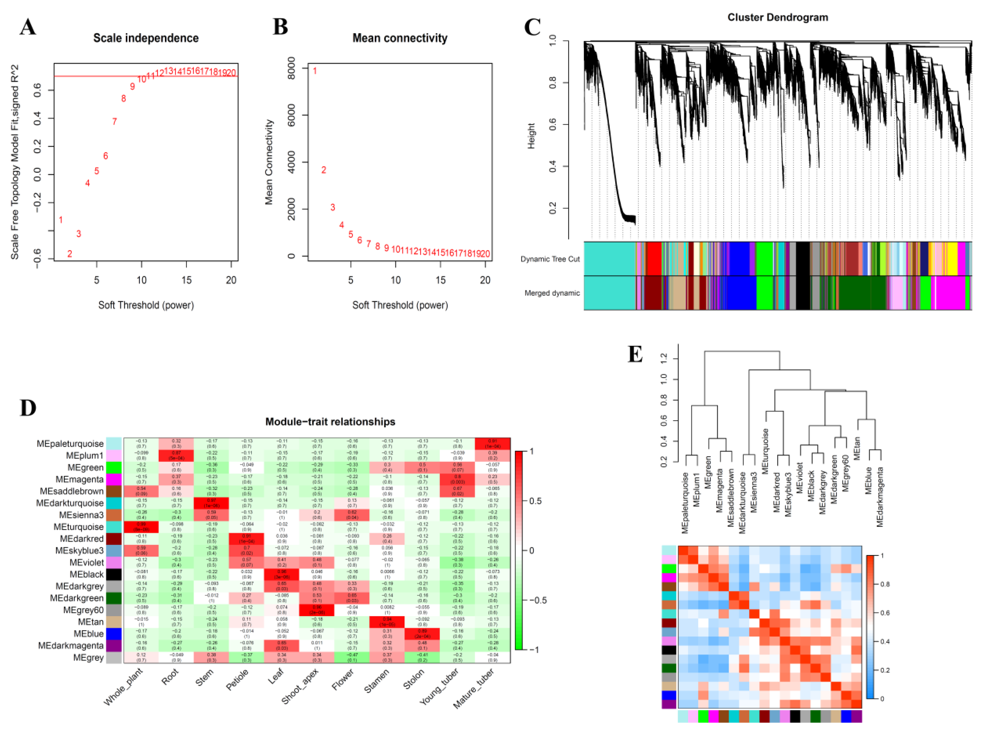 Biology 10 00127 g003
