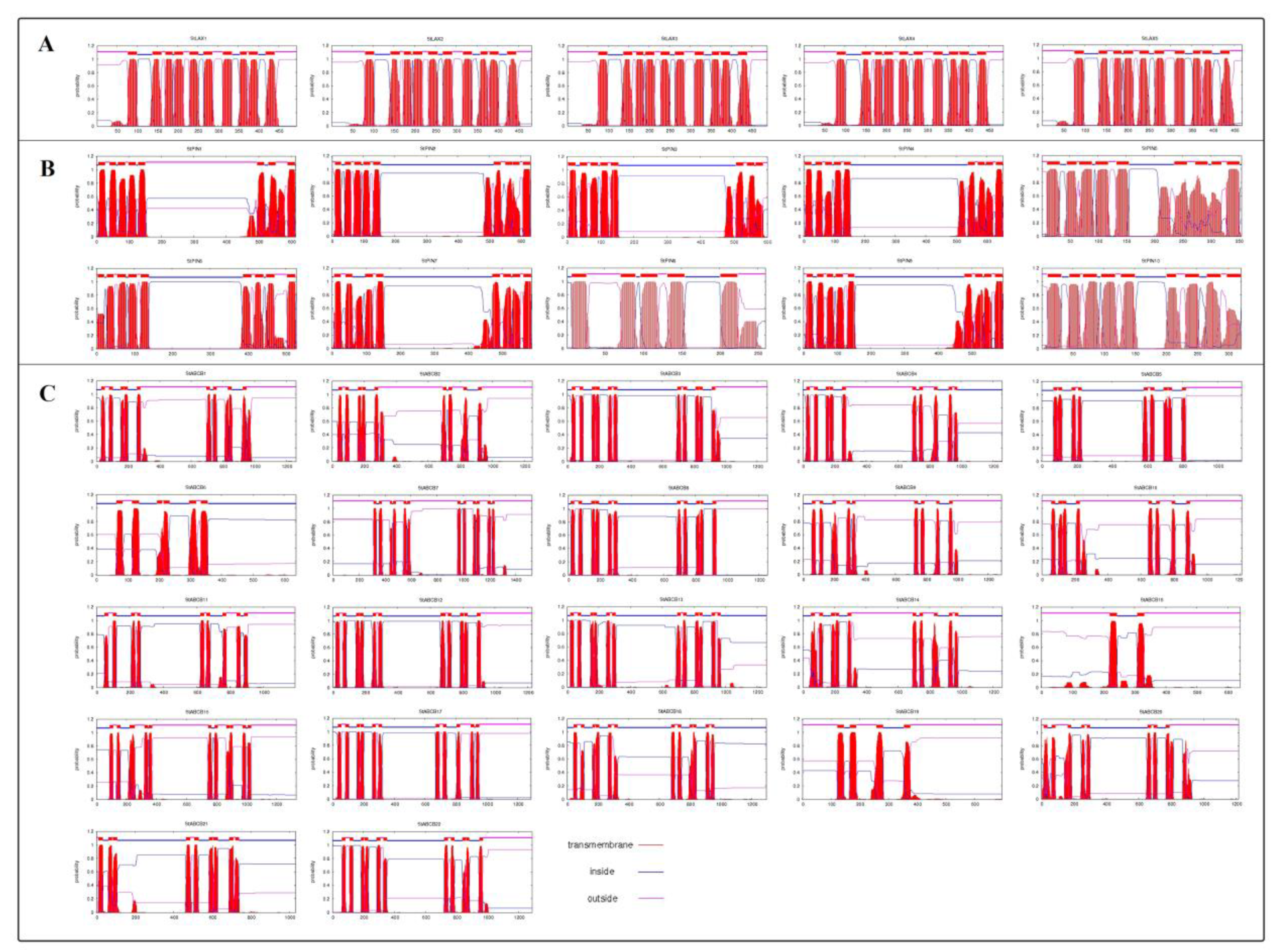 Biology 10 00127 g0a1