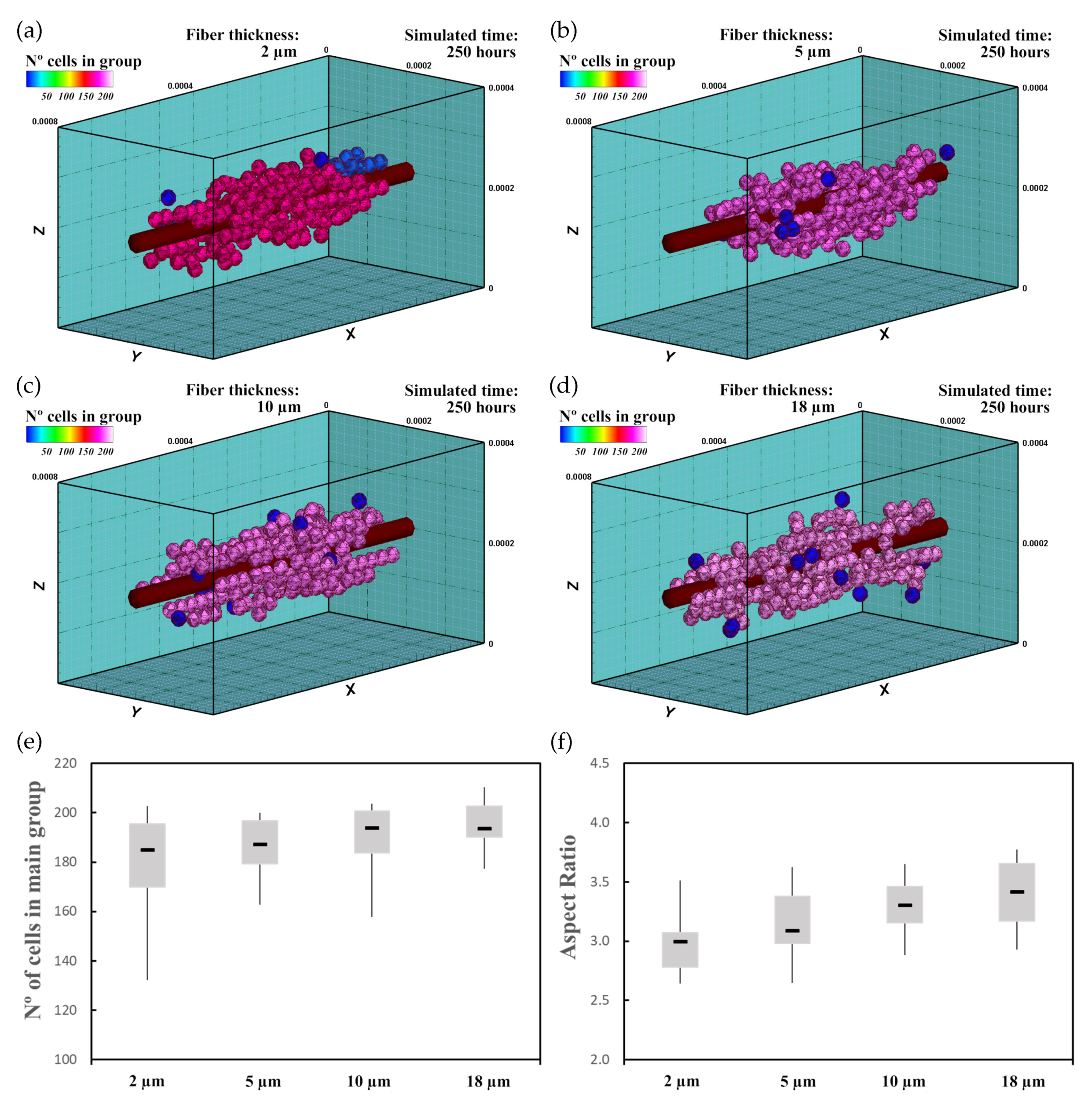 Biology 10 00135 g010