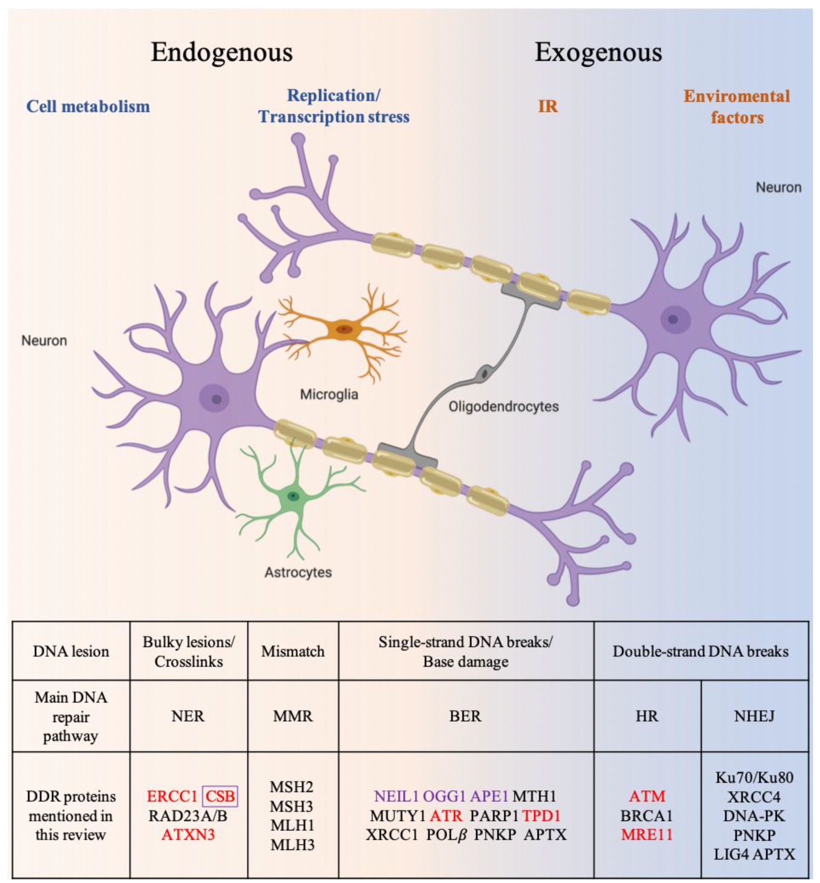 Biology 10 00163 g001 Biology 10 00163 g001