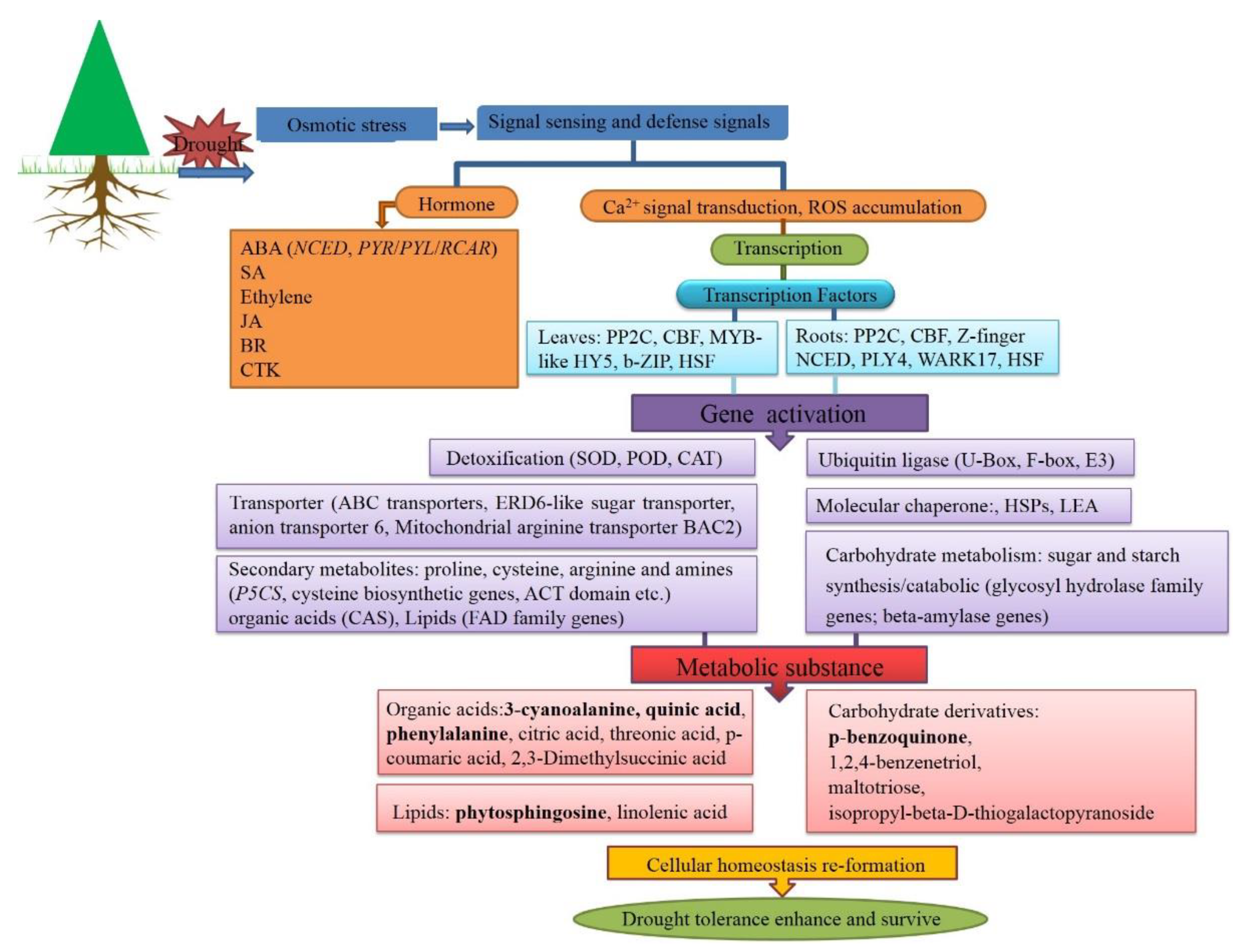 Biology 10 00201 g007