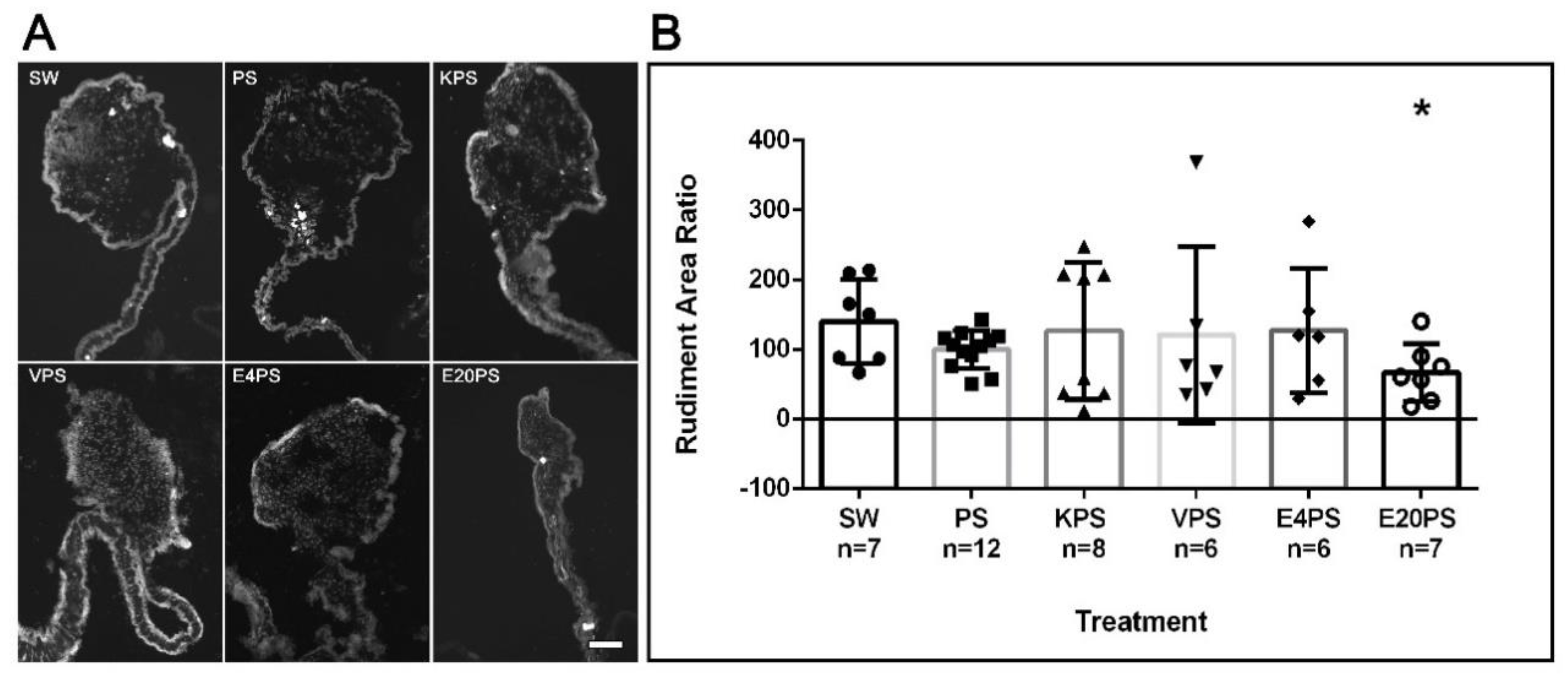 Biology 10 00236 g001