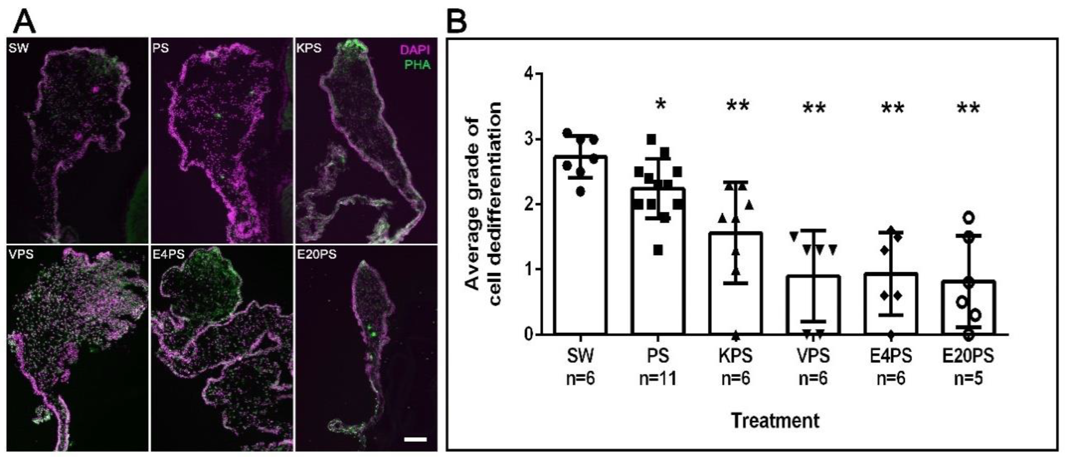 Biology 10 00236 g002