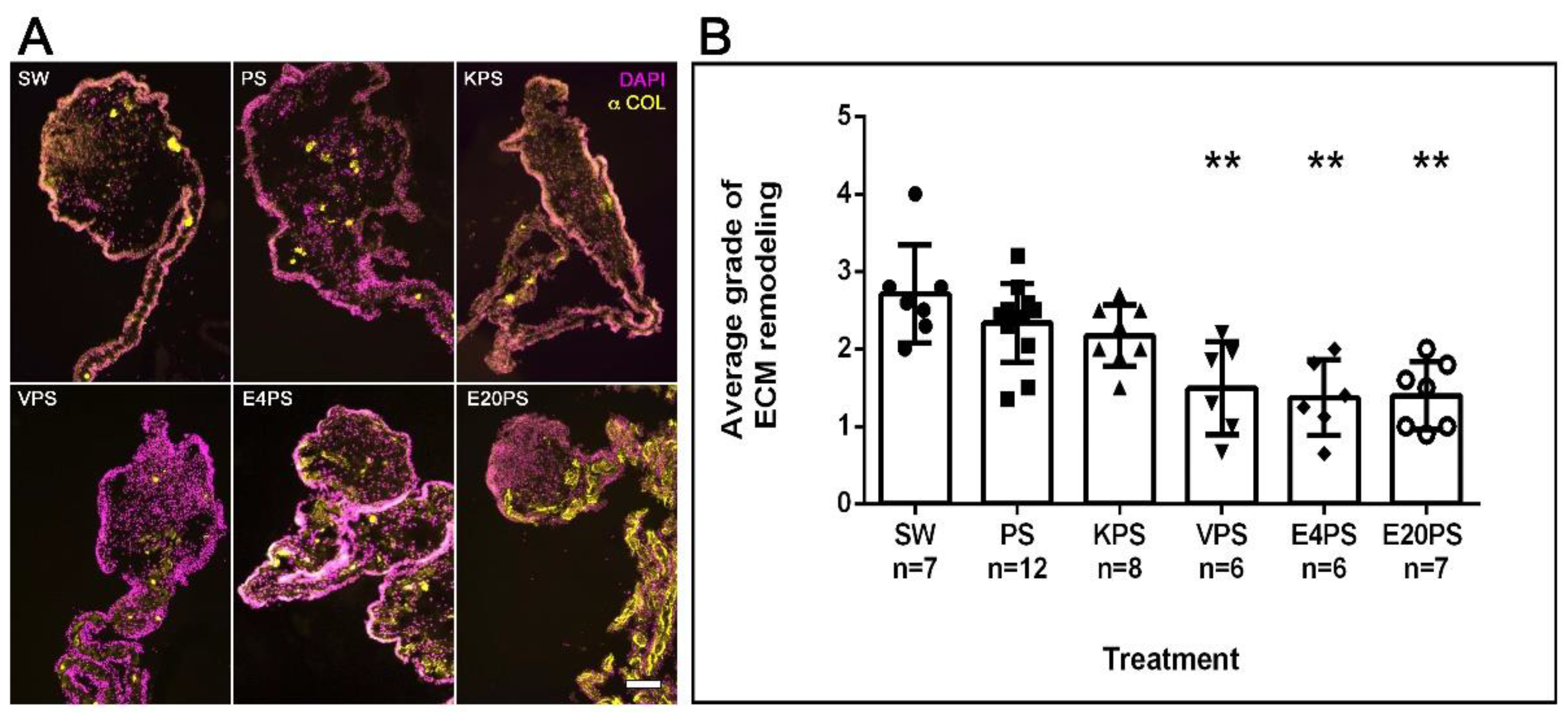 Biology 10 00236 g003
