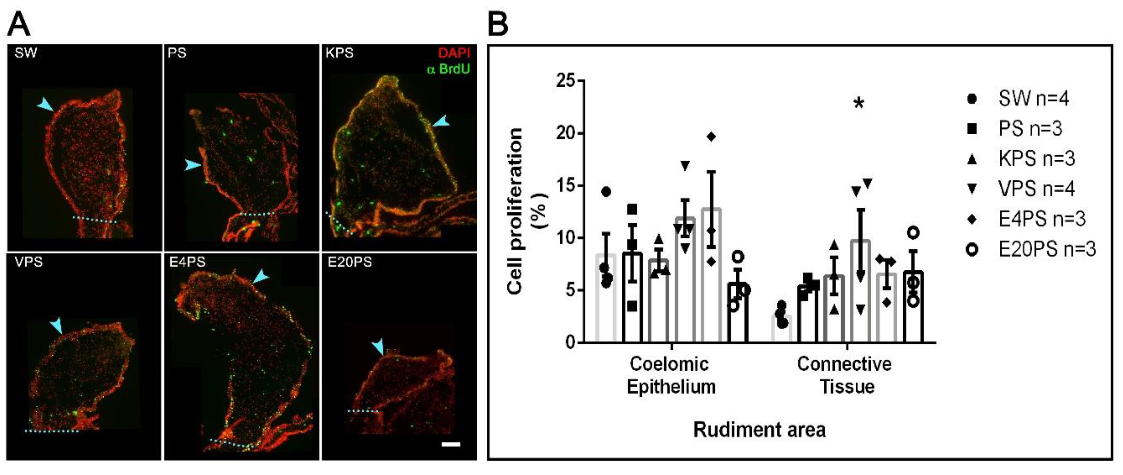 Biology 10 00236 g004