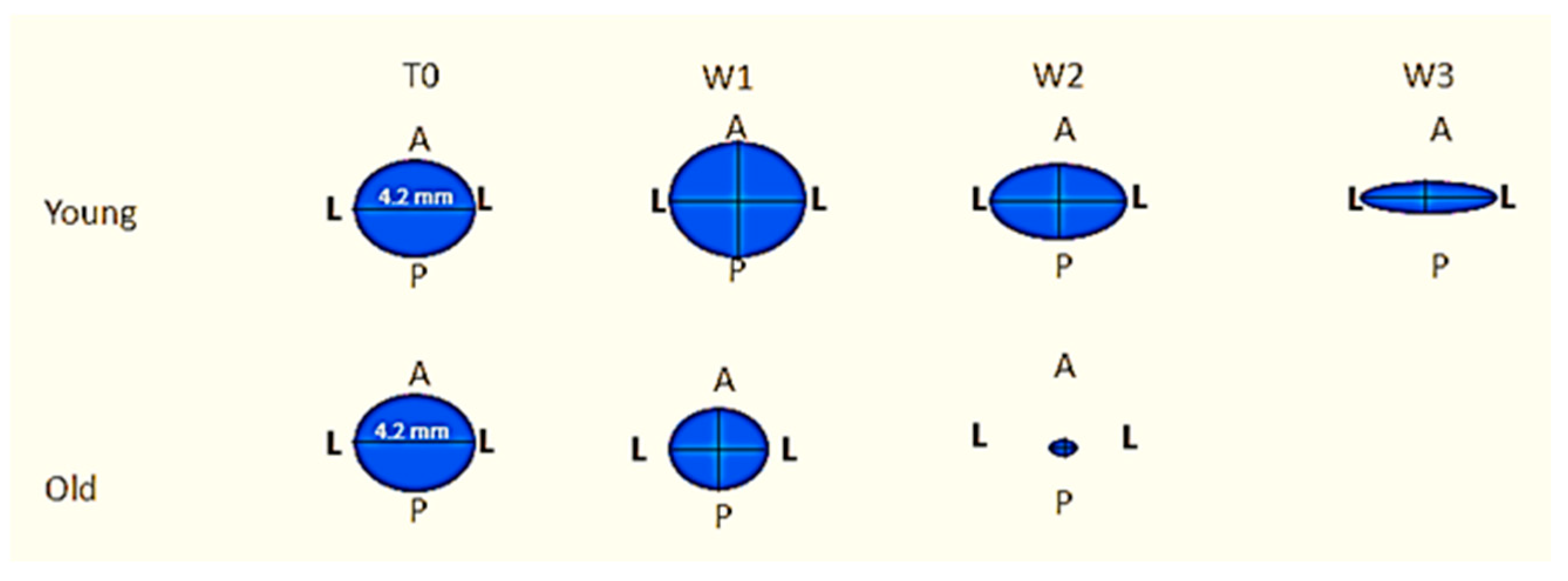 Biology 10 00240 g008 Biology 10 00240 g008