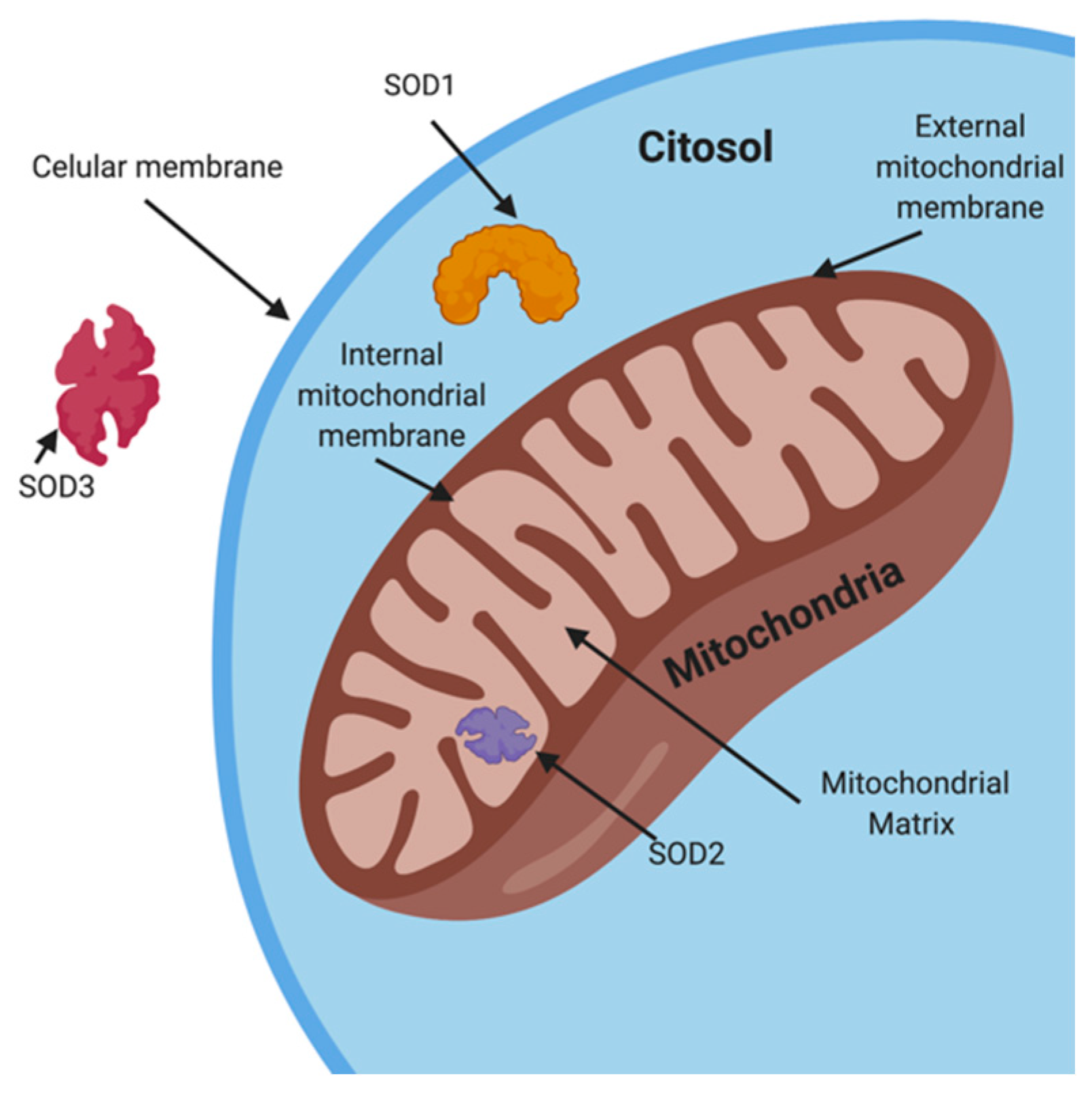 Biology 10 00241 g002 Biology 10 00241 g002