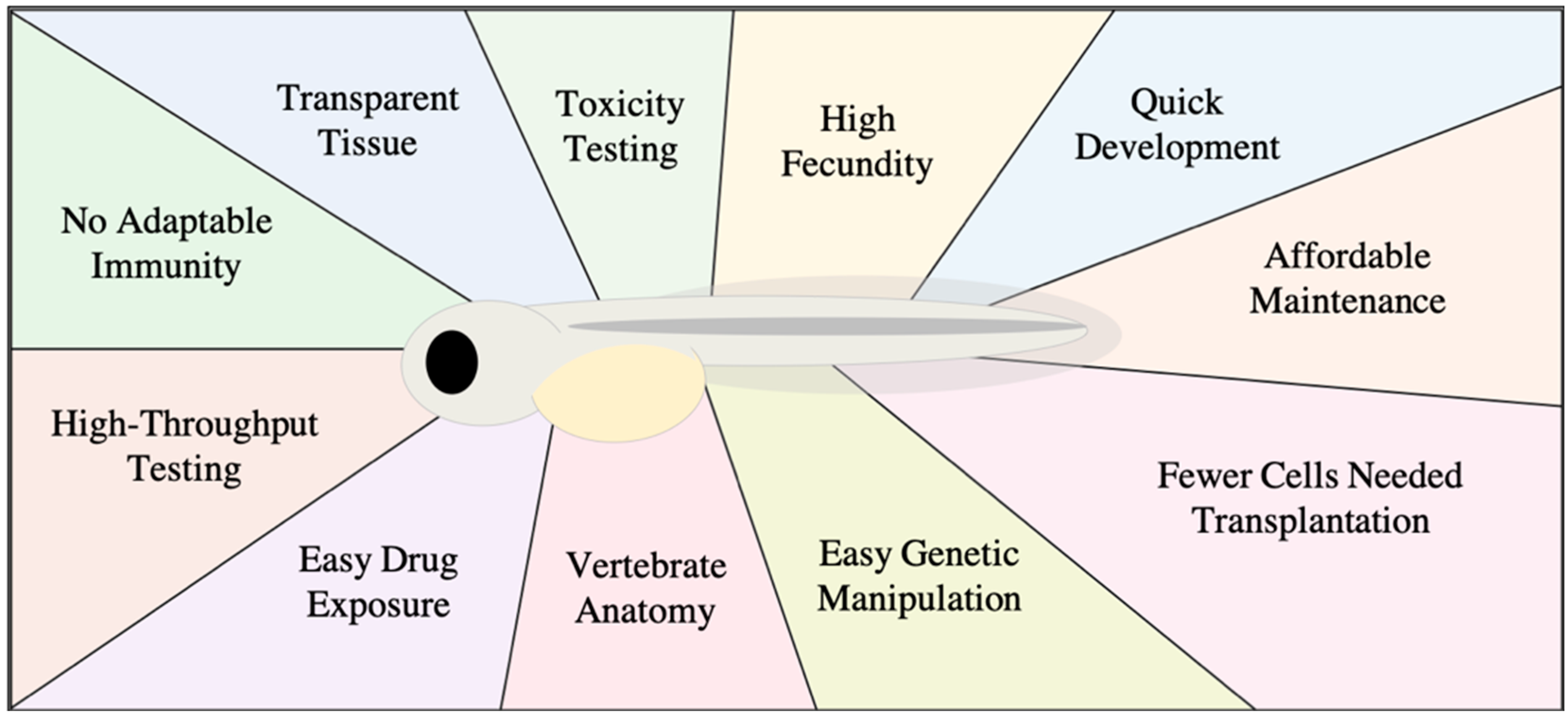 Biology 10 00252 g001