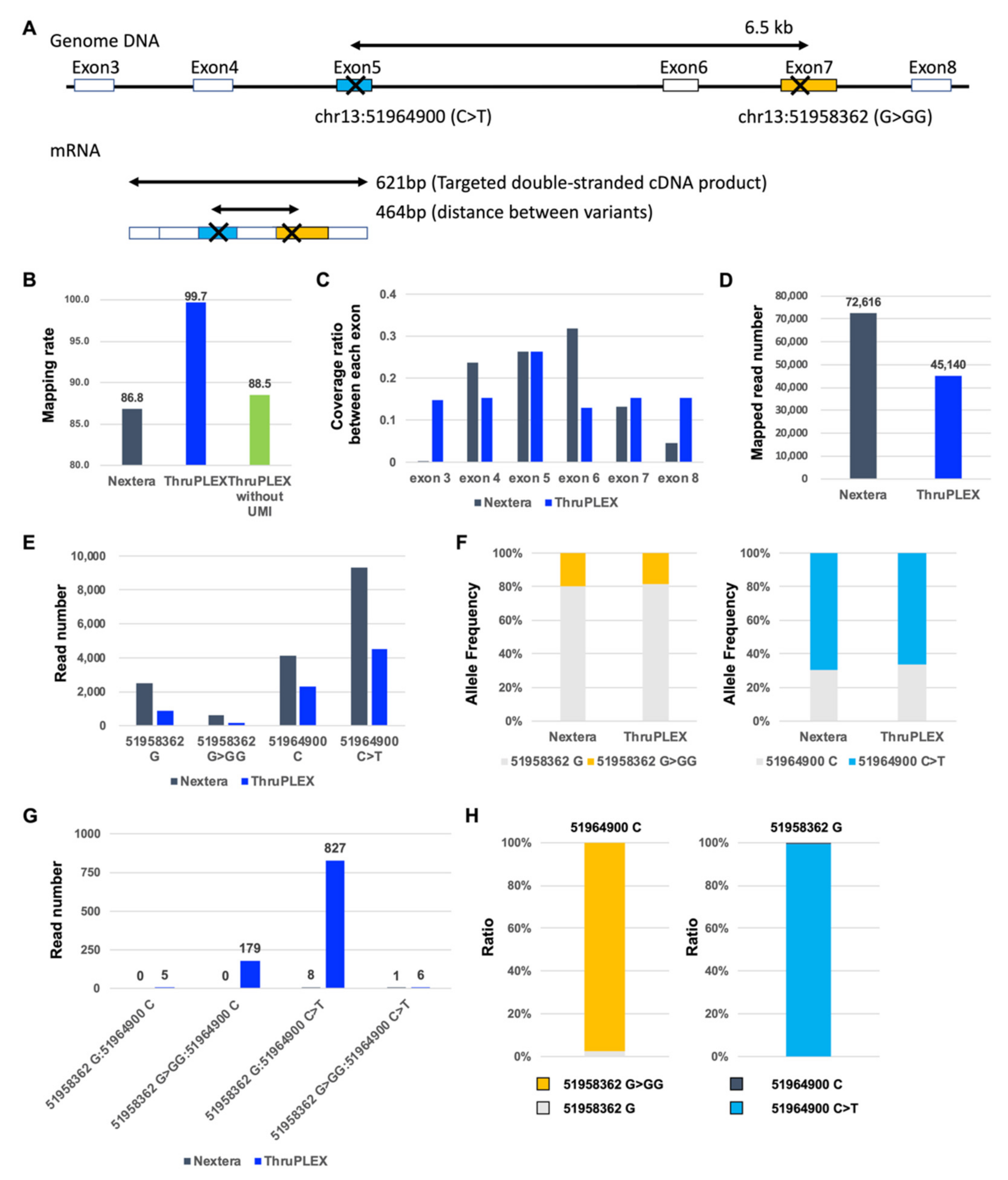 Biology 10 00256 g003