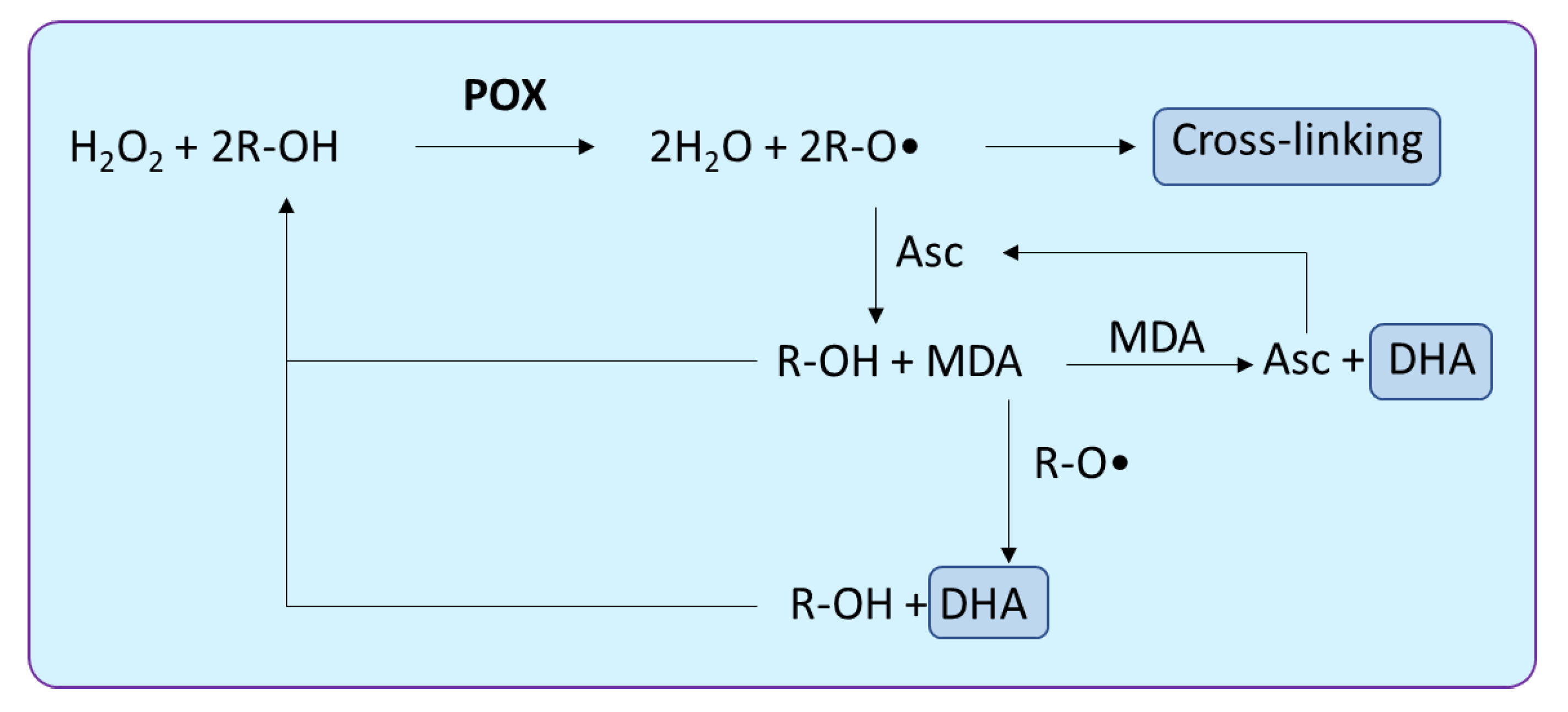 Biology 10 00267 g002 Biology 10 00267 g002