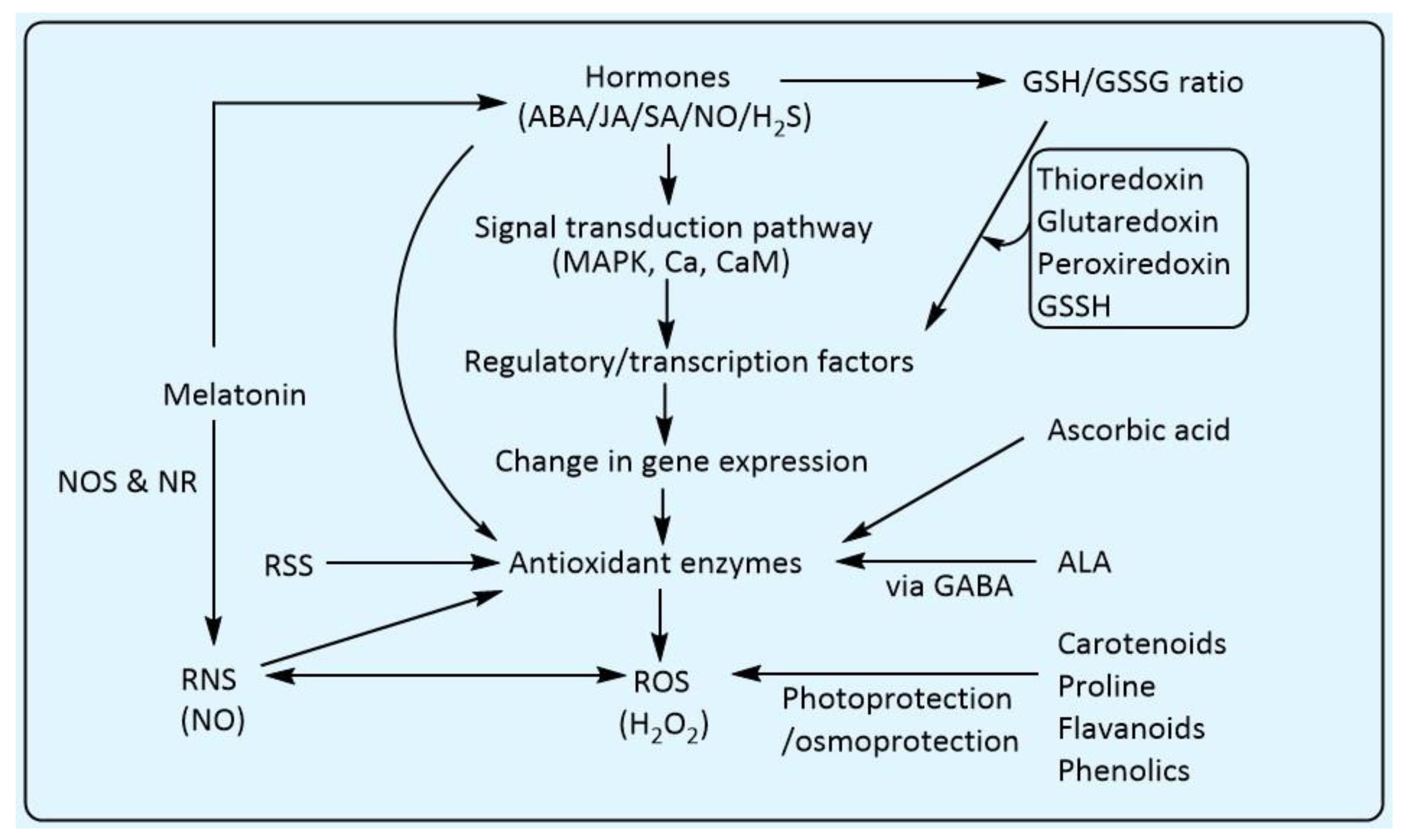 Biology 10 00267 g006 Biology 10 00267 g006