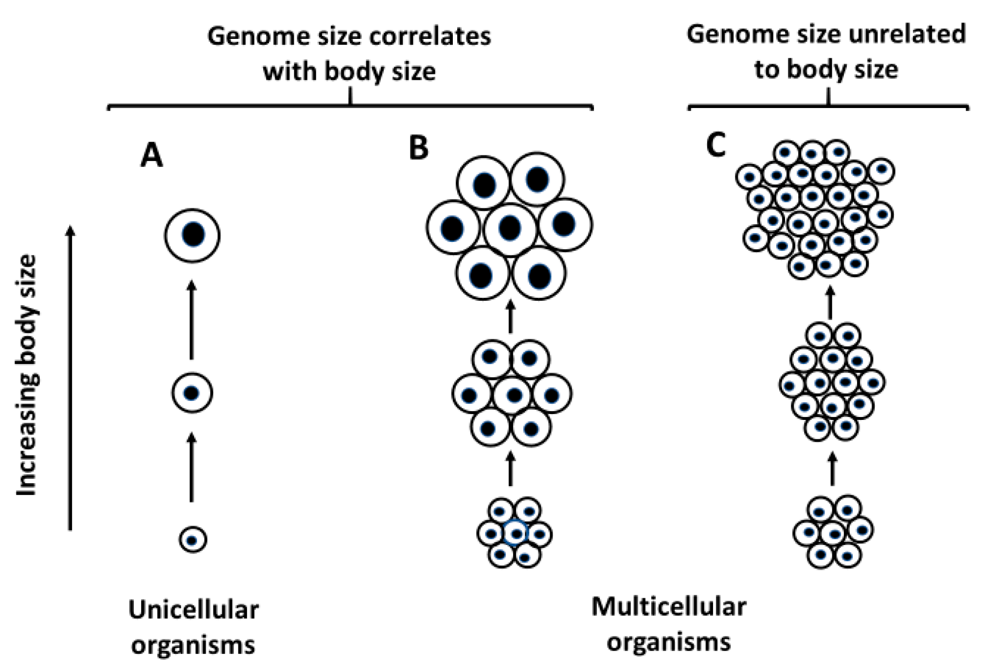 Biology 10 00270 g003
