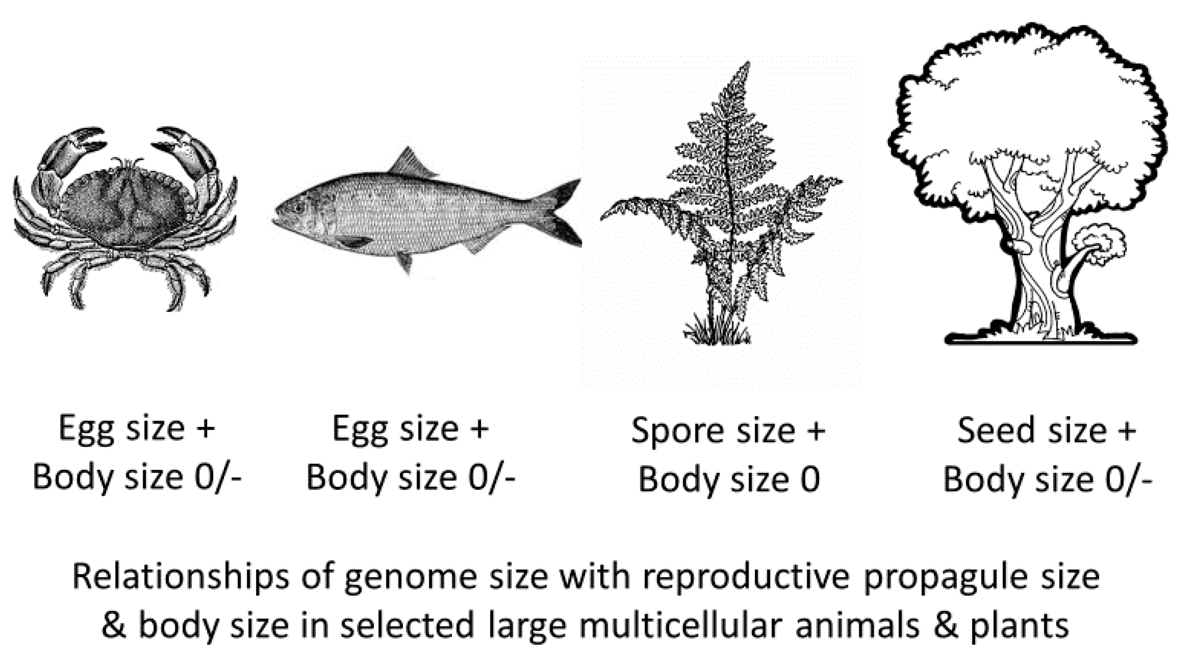 Biology 10 00270 g004
