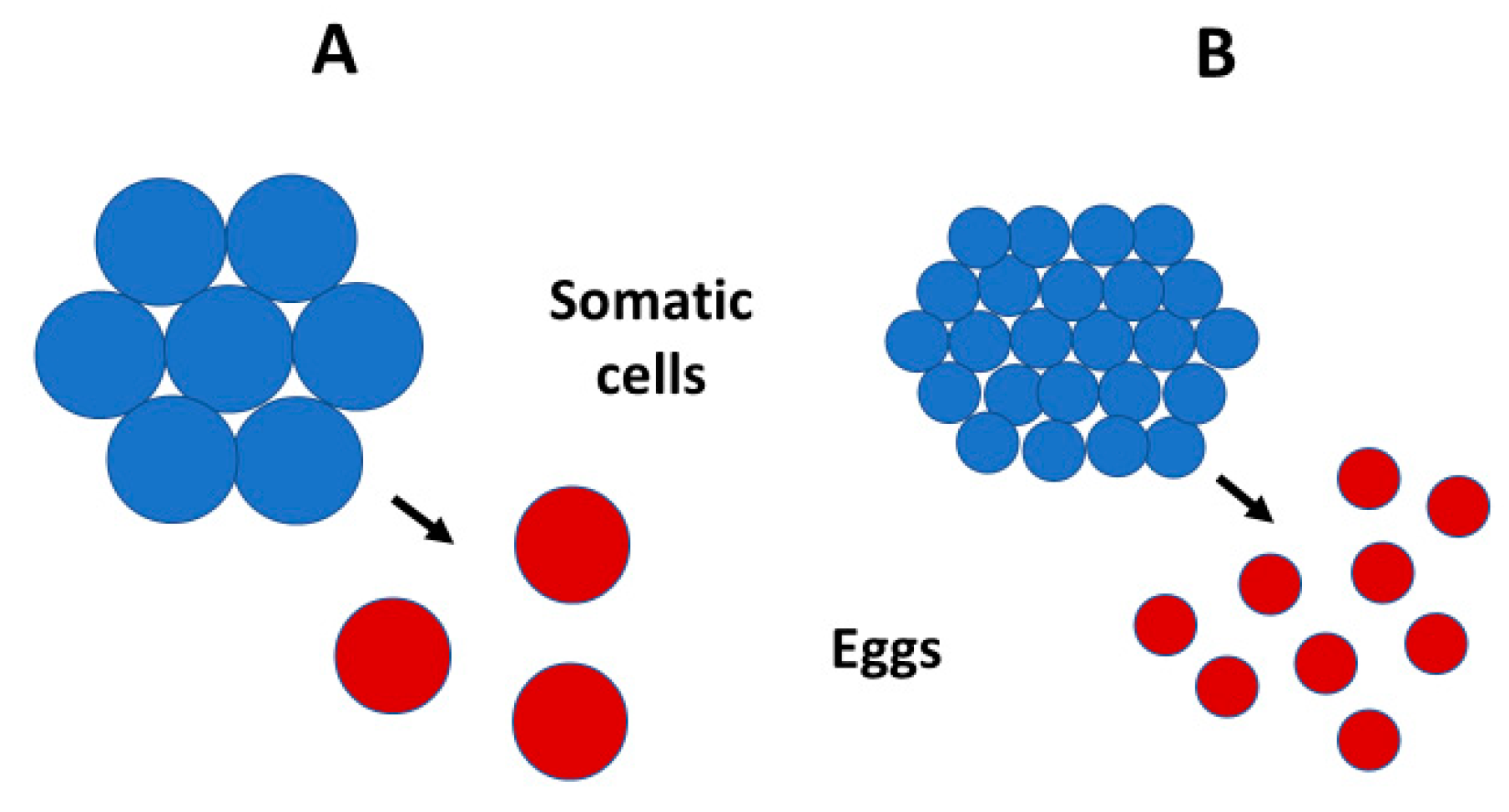 Biology 10 00270 g005