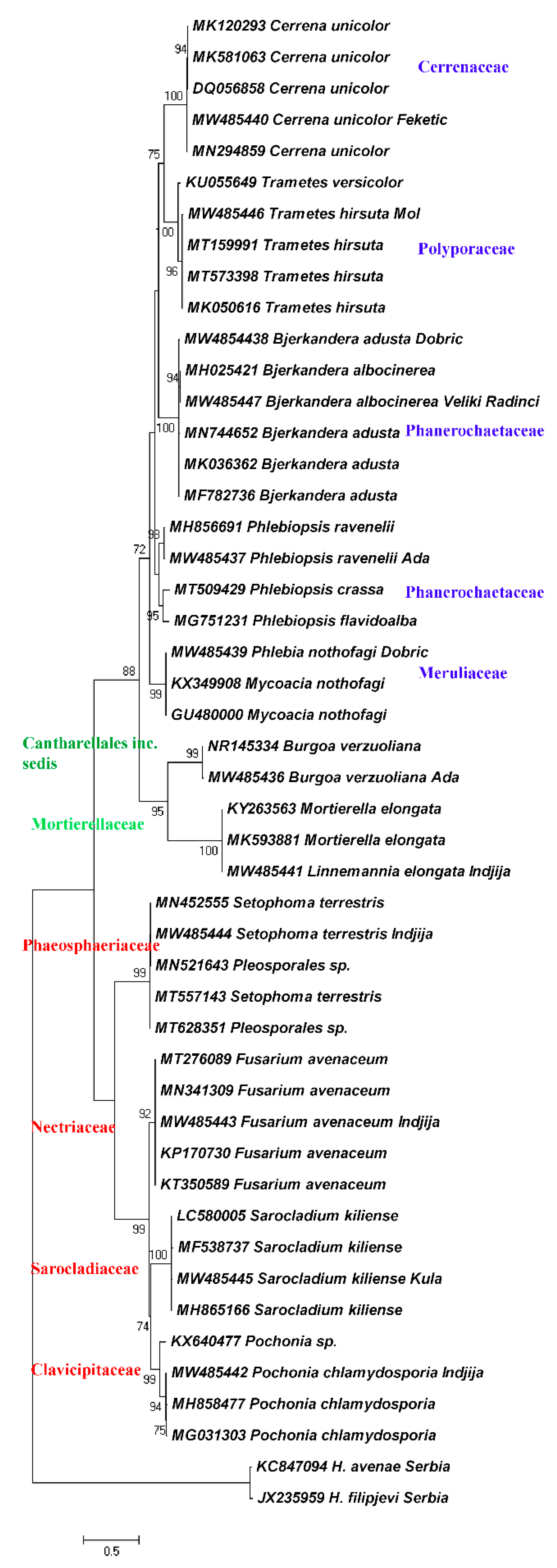 Biology 10 00283 g003 Biology 10 00283 g003