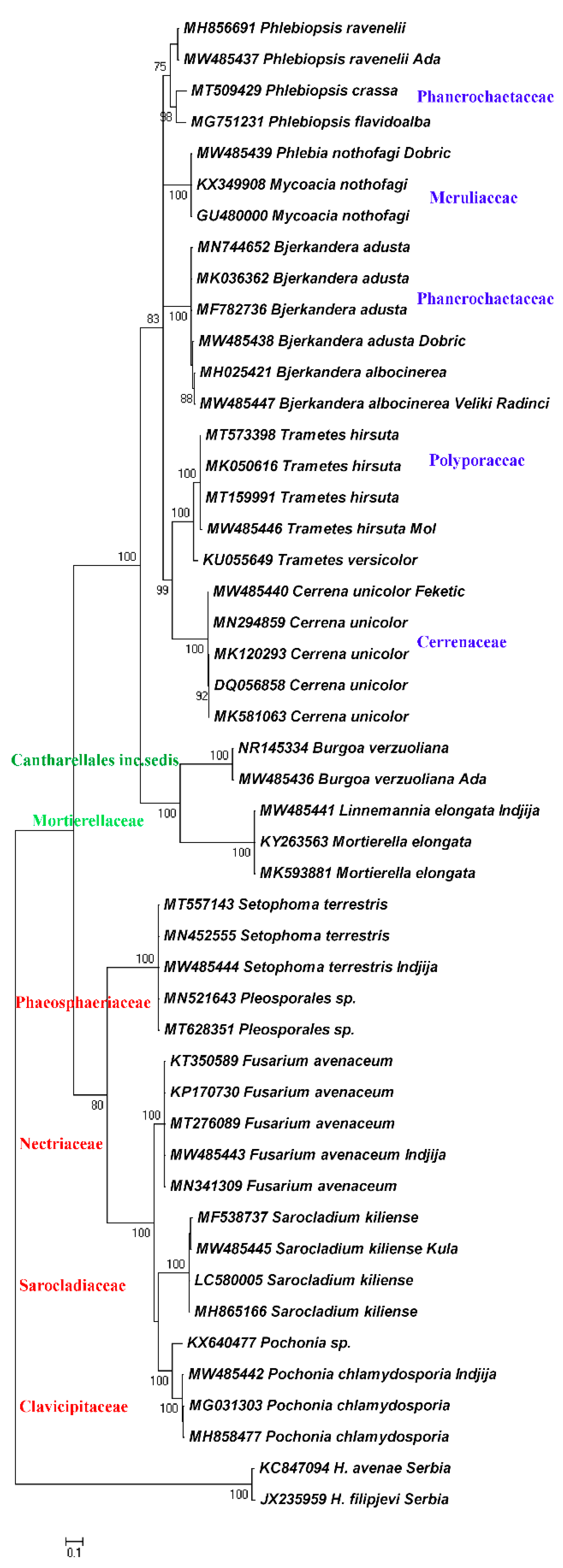 Biology 10 00283 g004 Biology 10 00283 g004