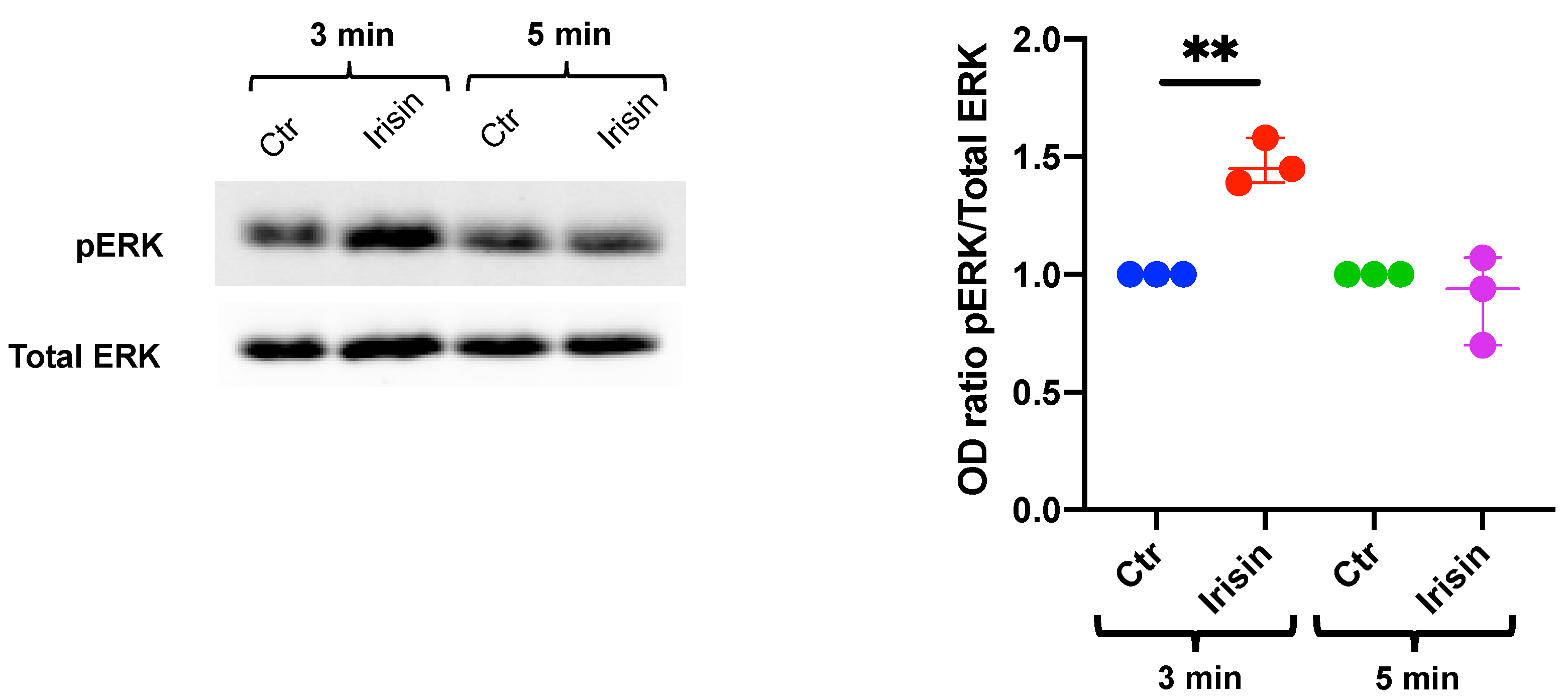 Biology 10 00295 g002 Biology 10 00295 g002