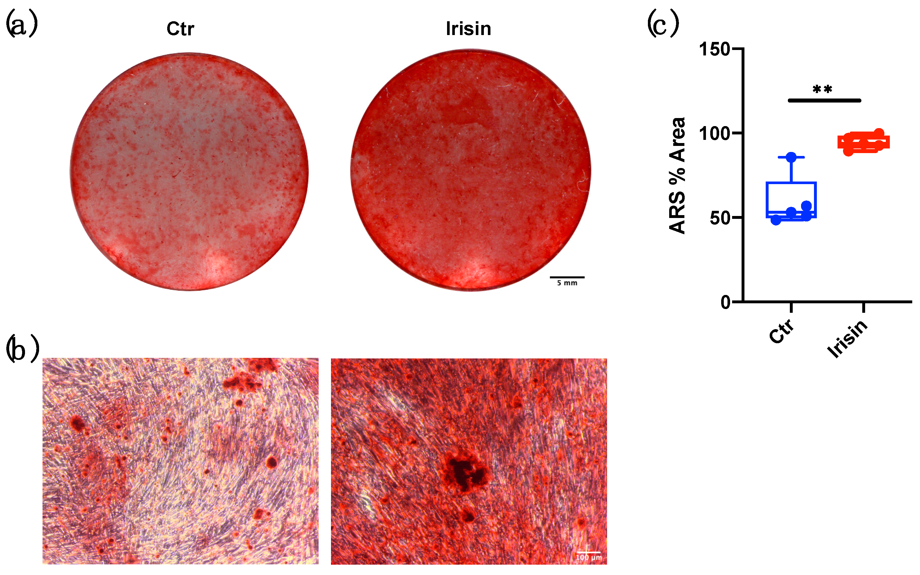 Biology 10 00295 g005 Biology 10 00295 g005