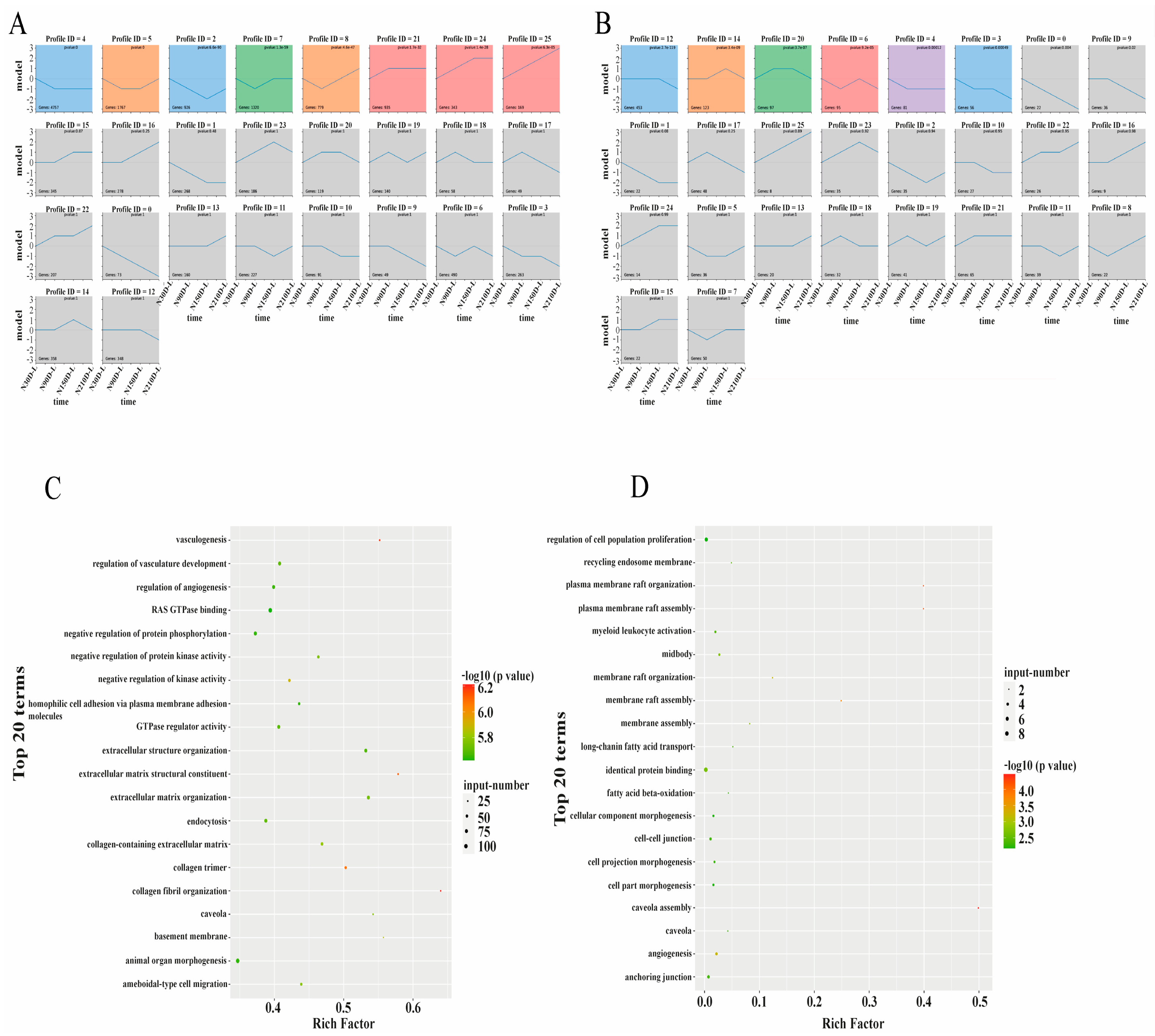 Biology 10 00310 g004 Biology 10 00310 g004