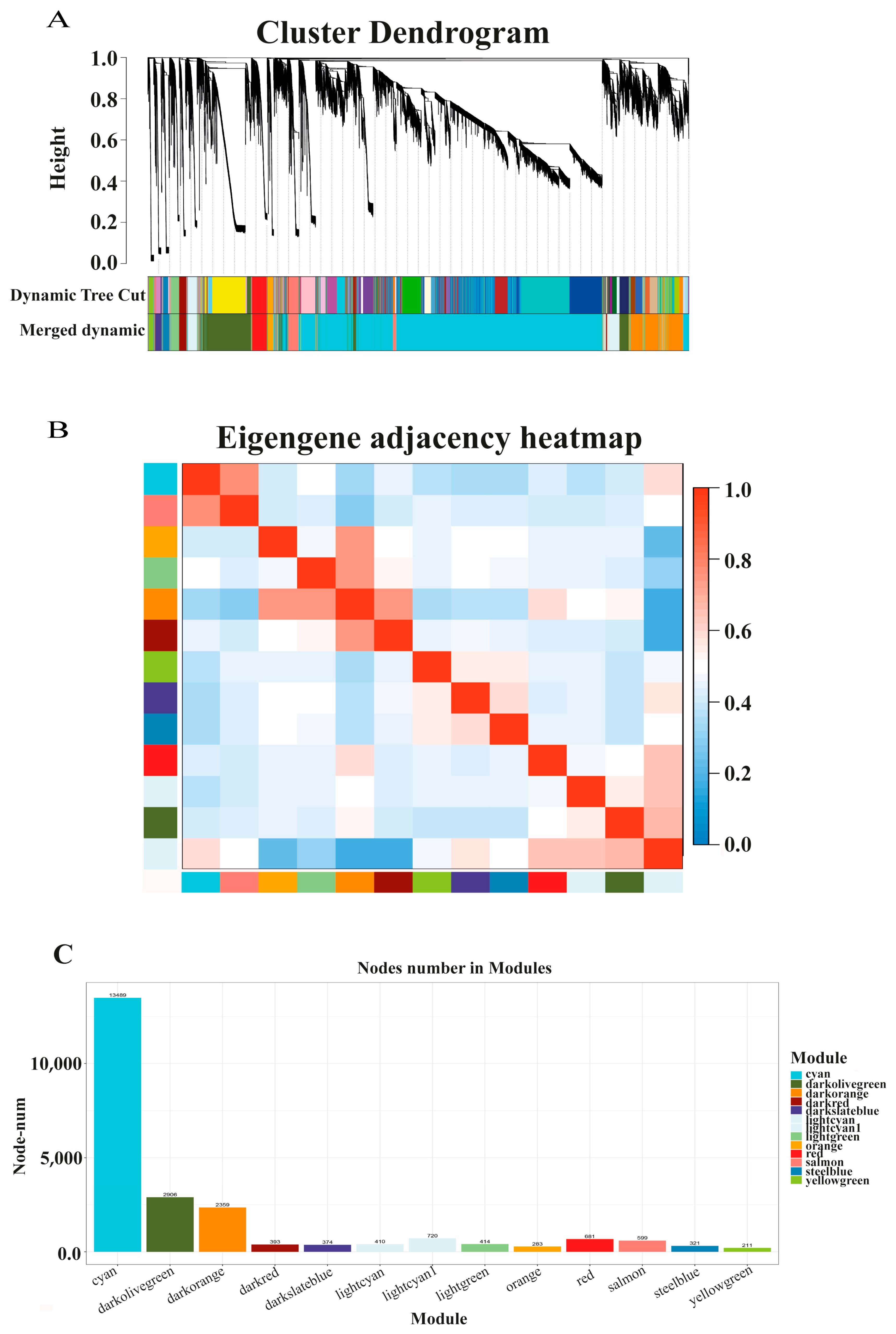 Biology 10 00310 g005 Biology 10 00310 g005