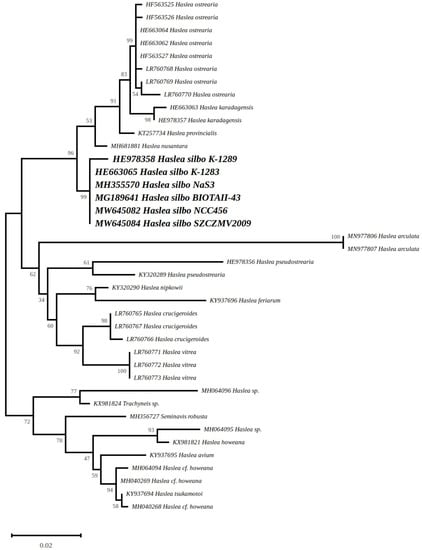 Biology Free Full Text Haslea Silbo A Novel Cosmopolitan Species Of Blue Diatoms Html