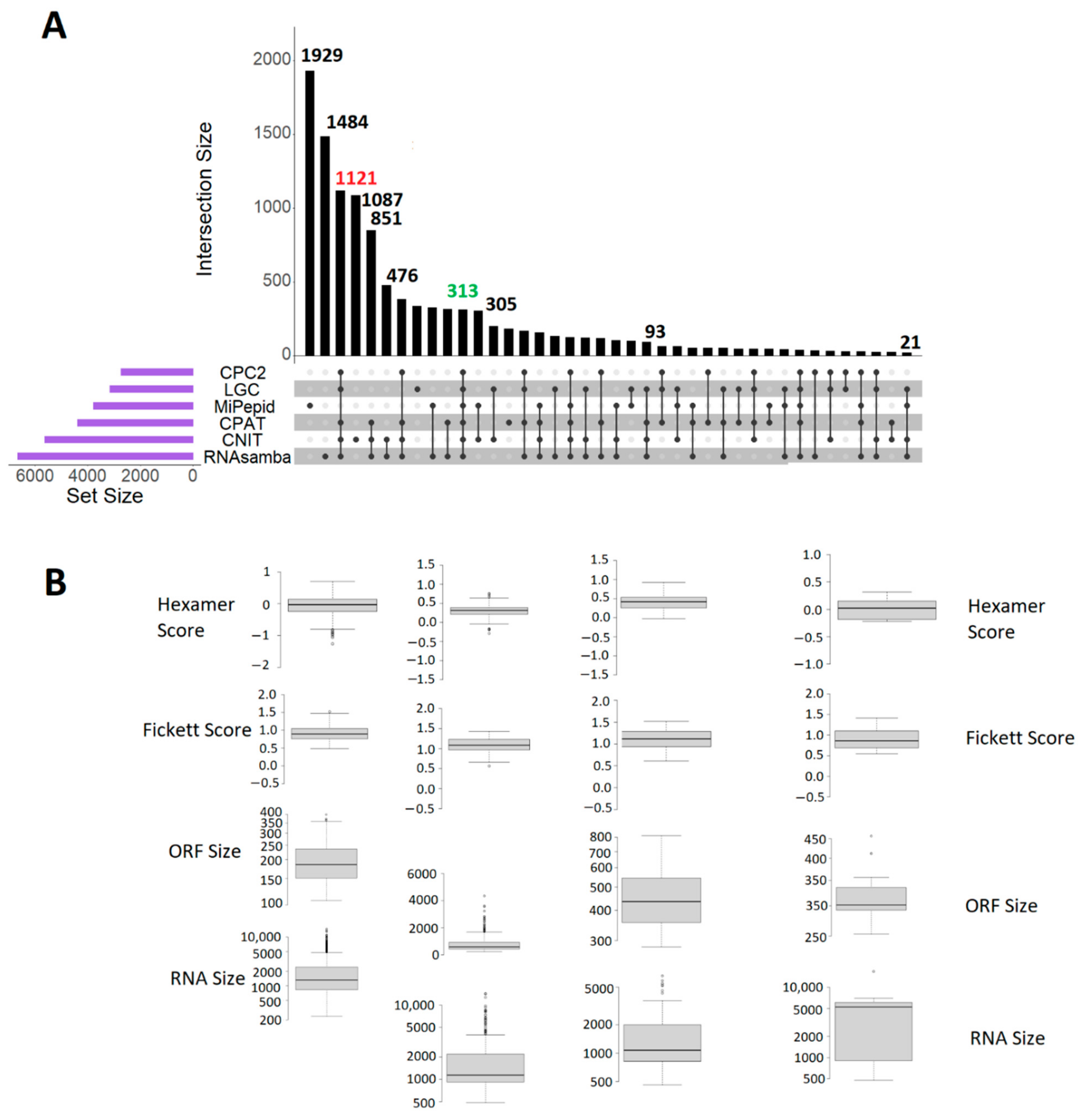 Biology 10 00371 g001