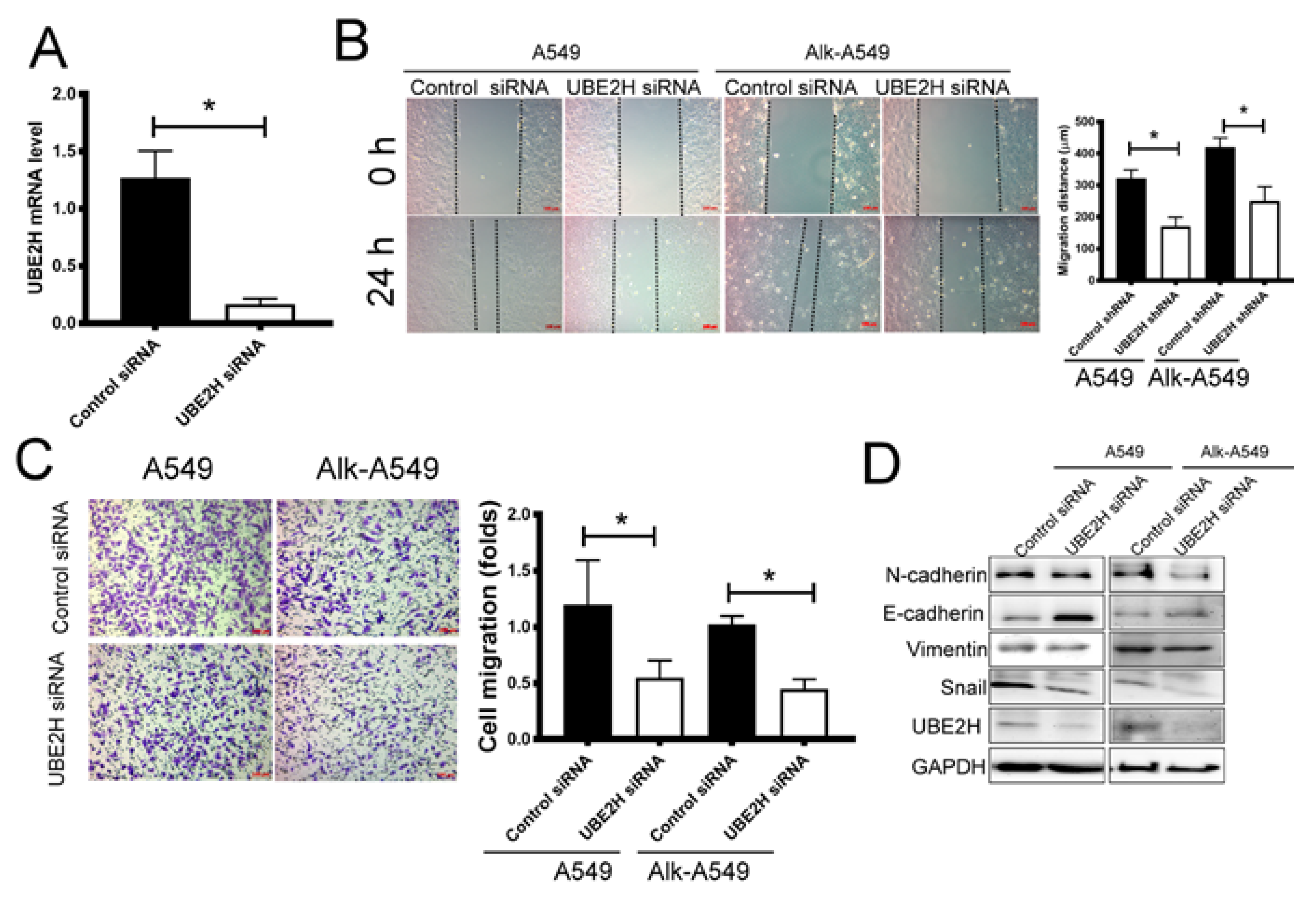 Biology 10 00378 g003 Biology 10 00378 g003