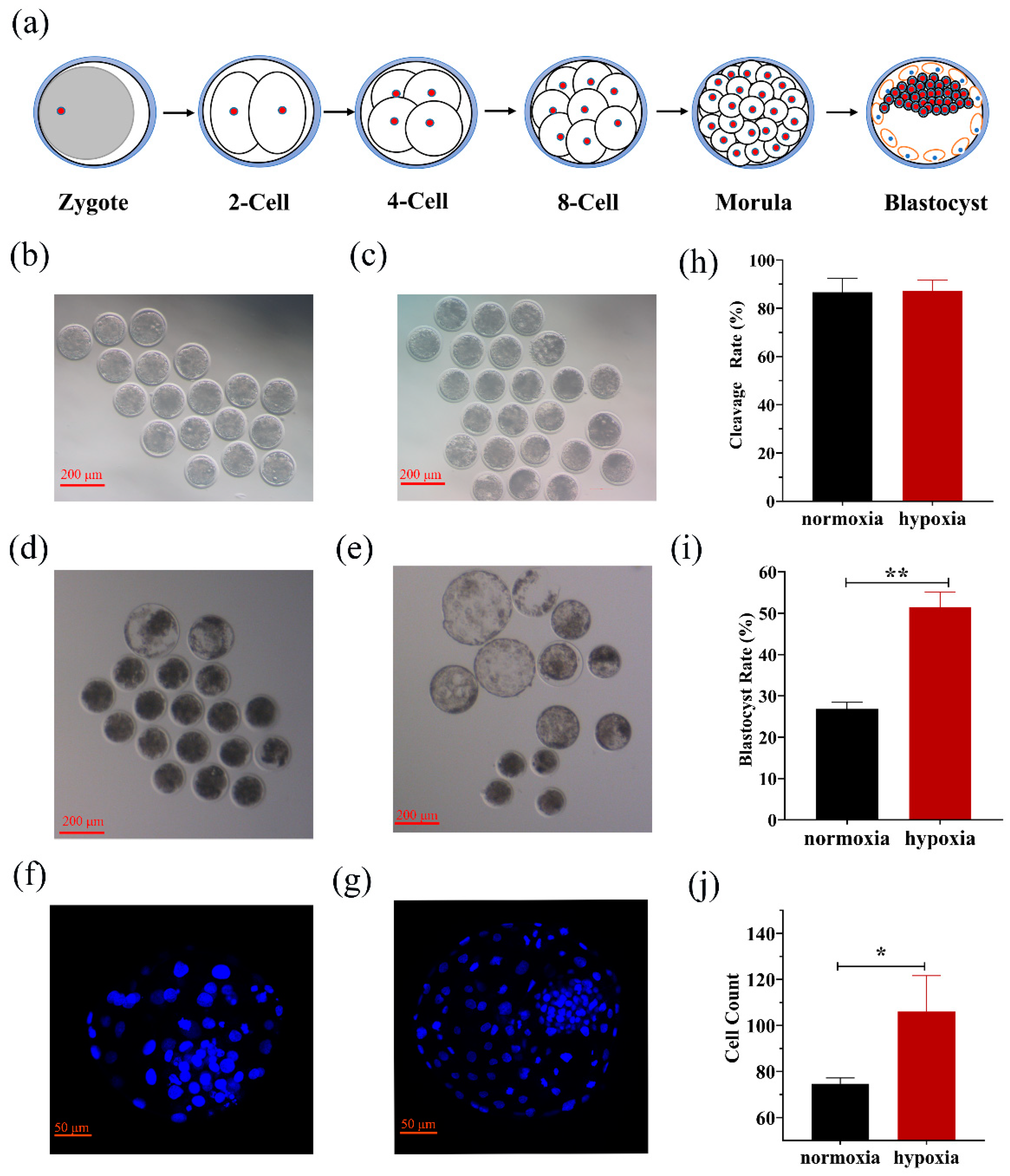 Biology 10 00381 g001