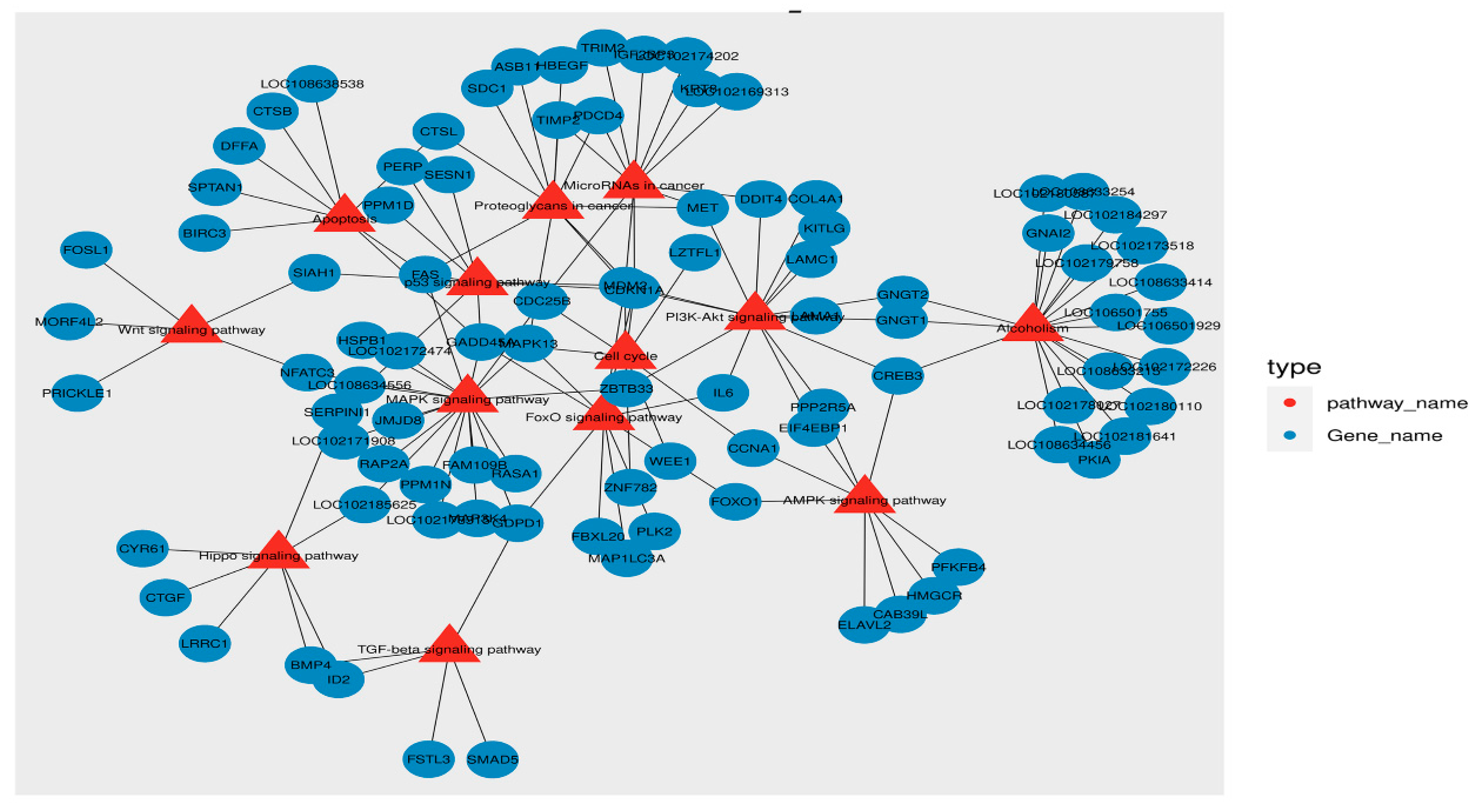 Biology 10 00381 g006