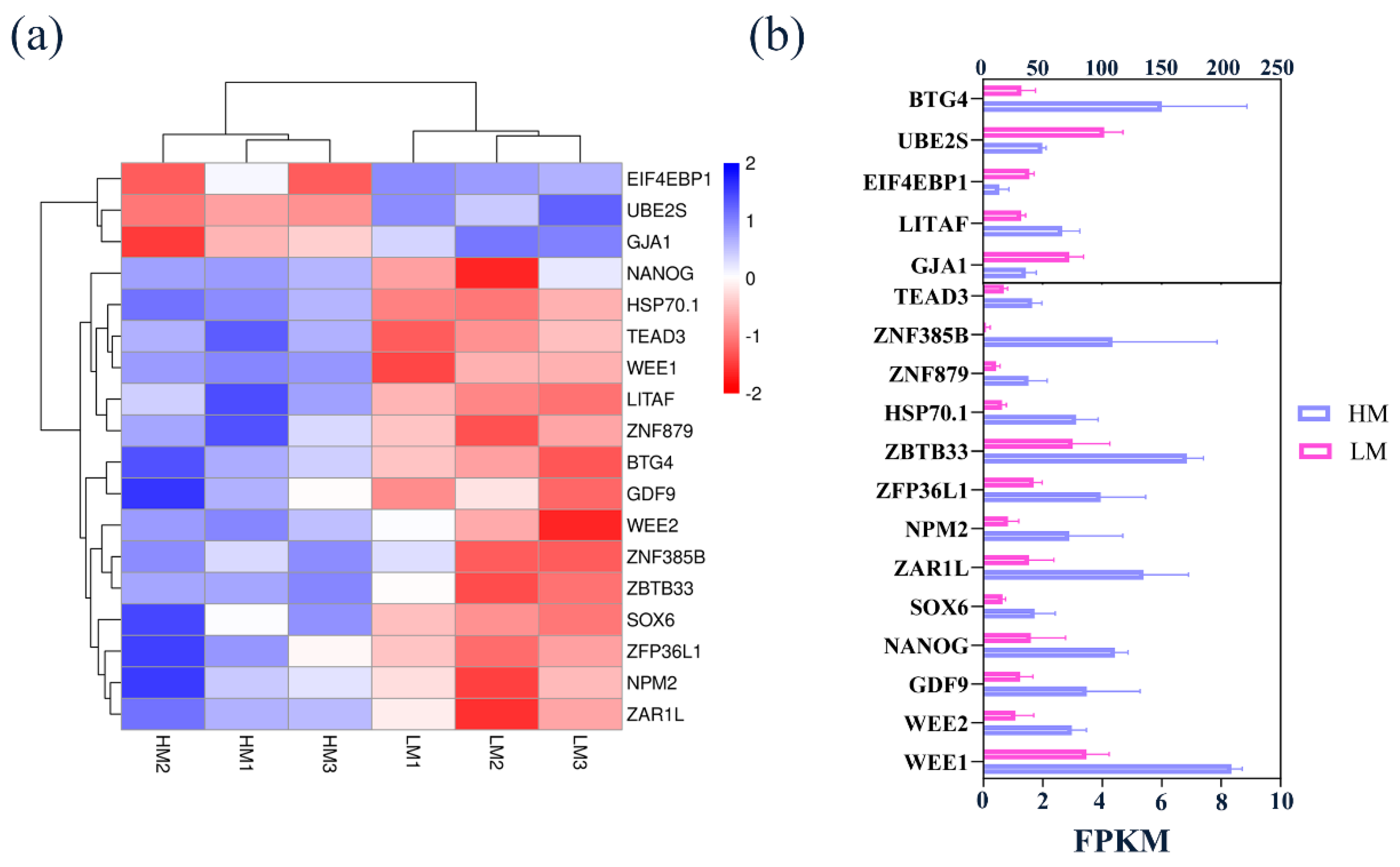 Biology 10 00381 g007