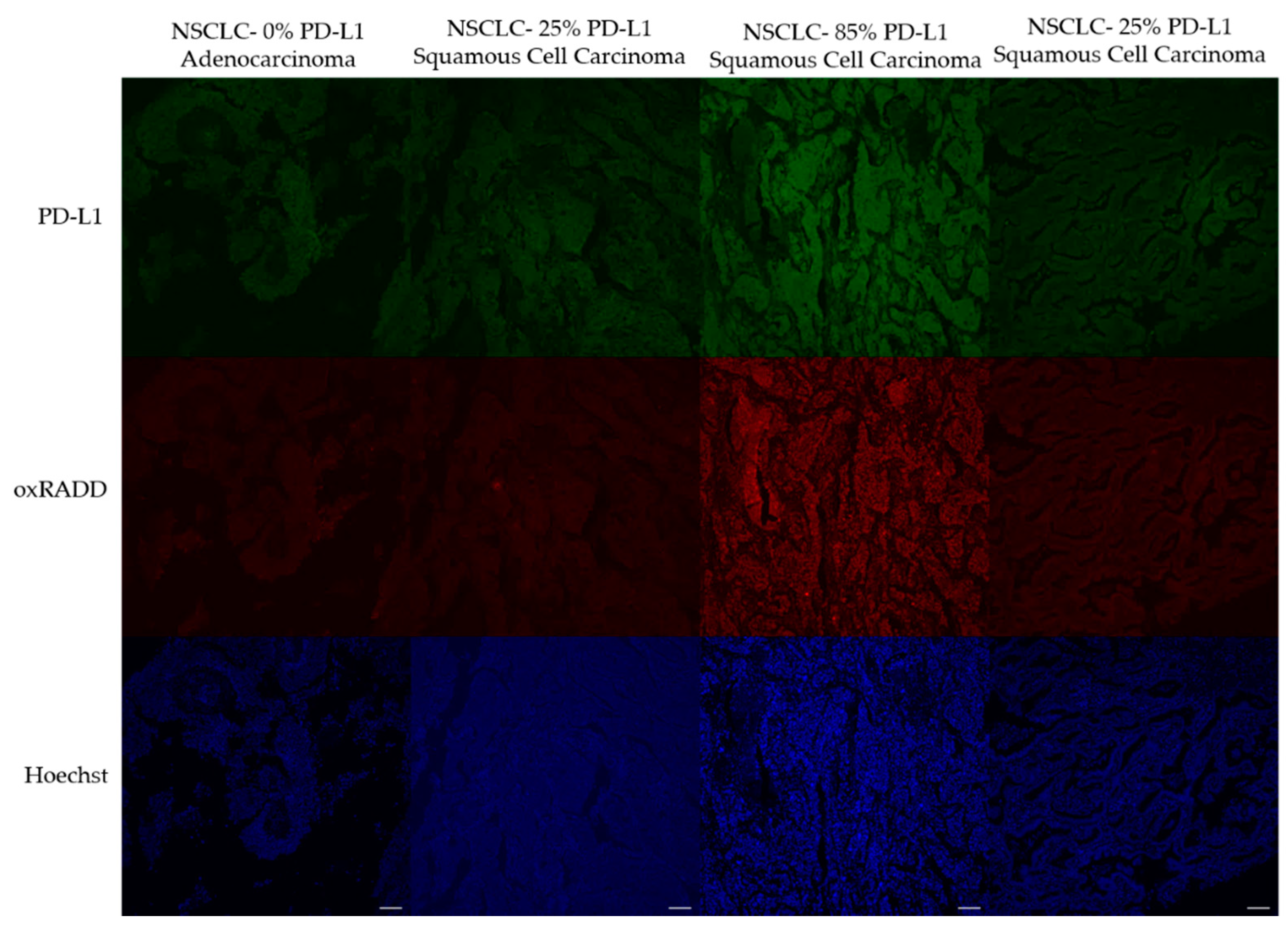 Biology 10 00385 g004