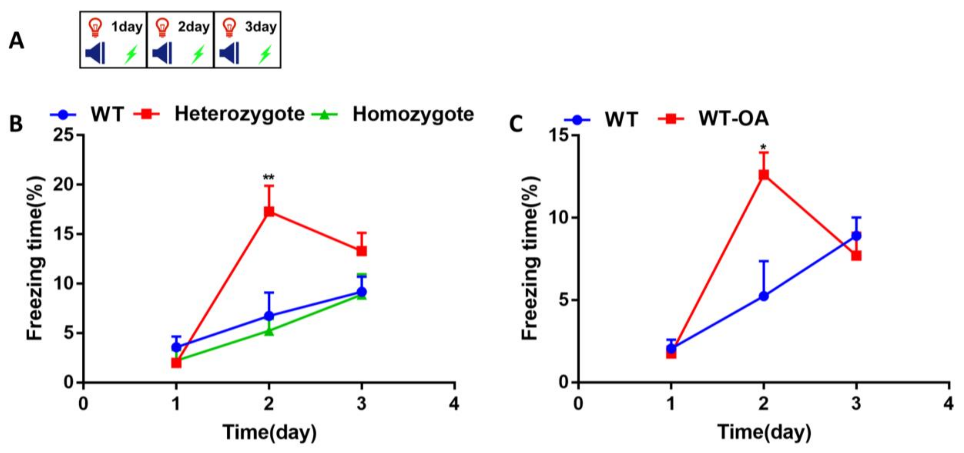 Biology 10 00404 g002