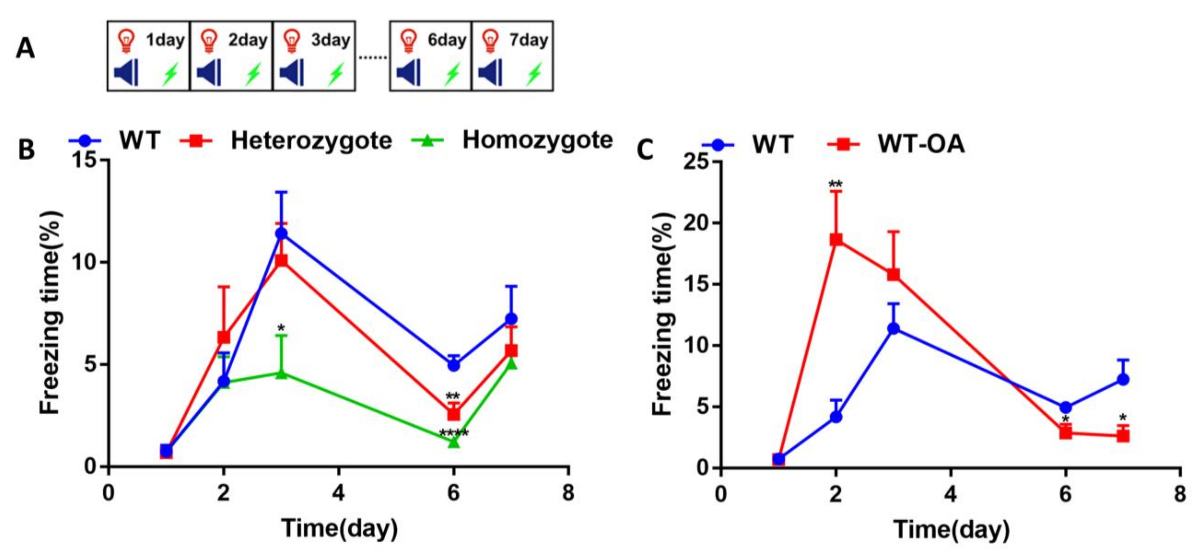 Biology 10 00404 g003