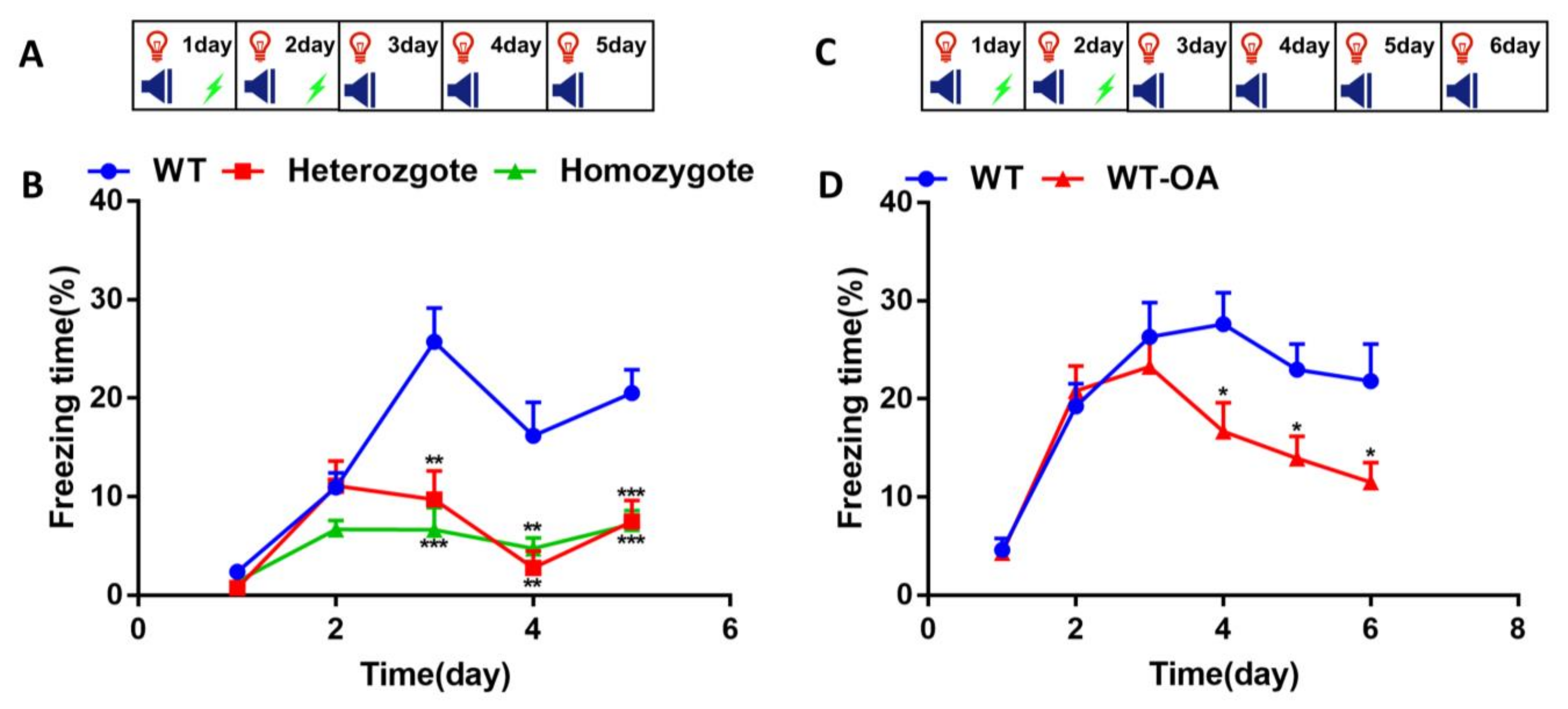 Biology 10 00404 g004