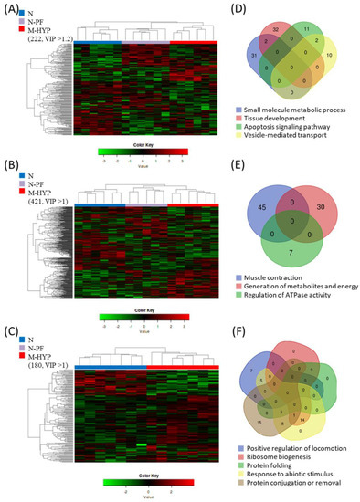 Biology Free Full Text Targeting The Mild Hypoxia Driving Force For Metabolic And Muscle Transcriptional Reprogramming Of Gilthead Sea Bream Sparus Aurata Juveniles