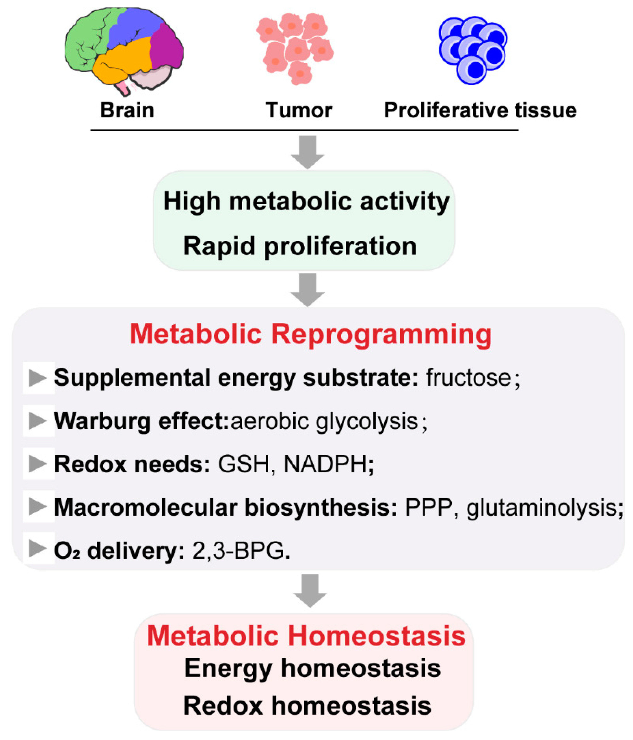 Biology 10 00424 g003