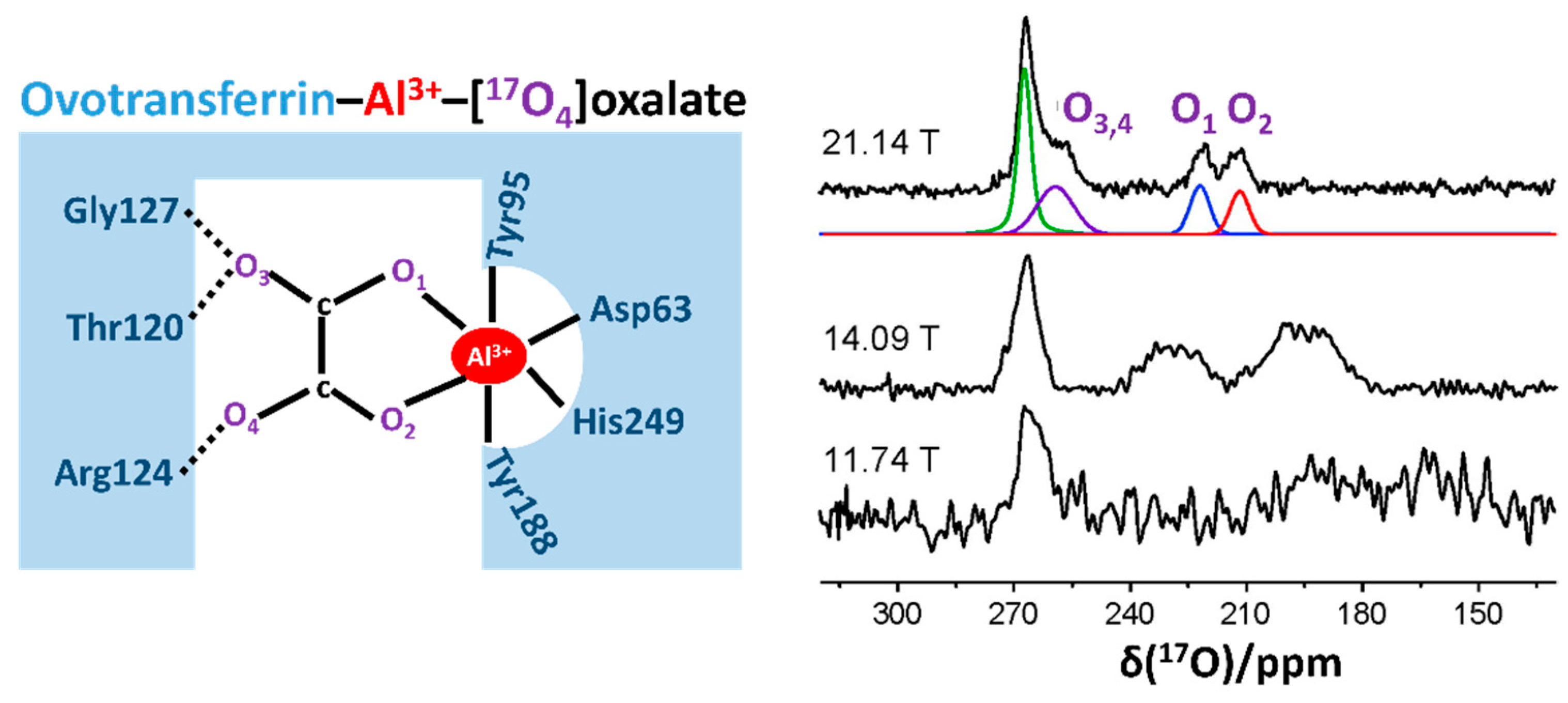 Biology 10 00453 g002 Biology 10 00453 g002