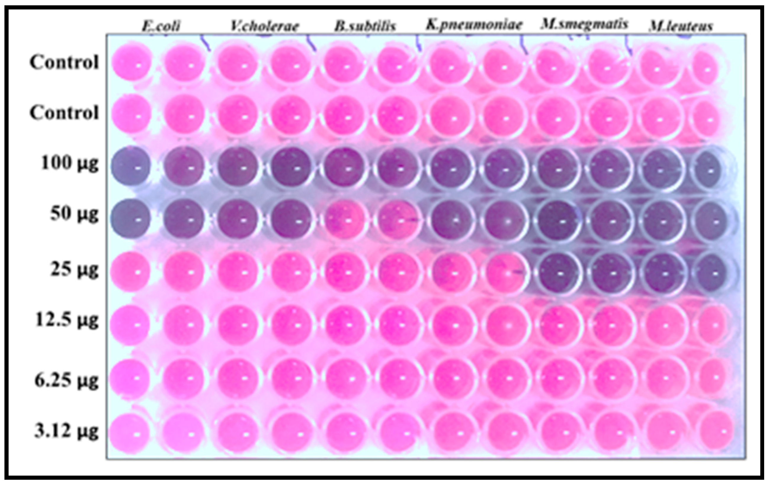 Biology 10 00473 g008