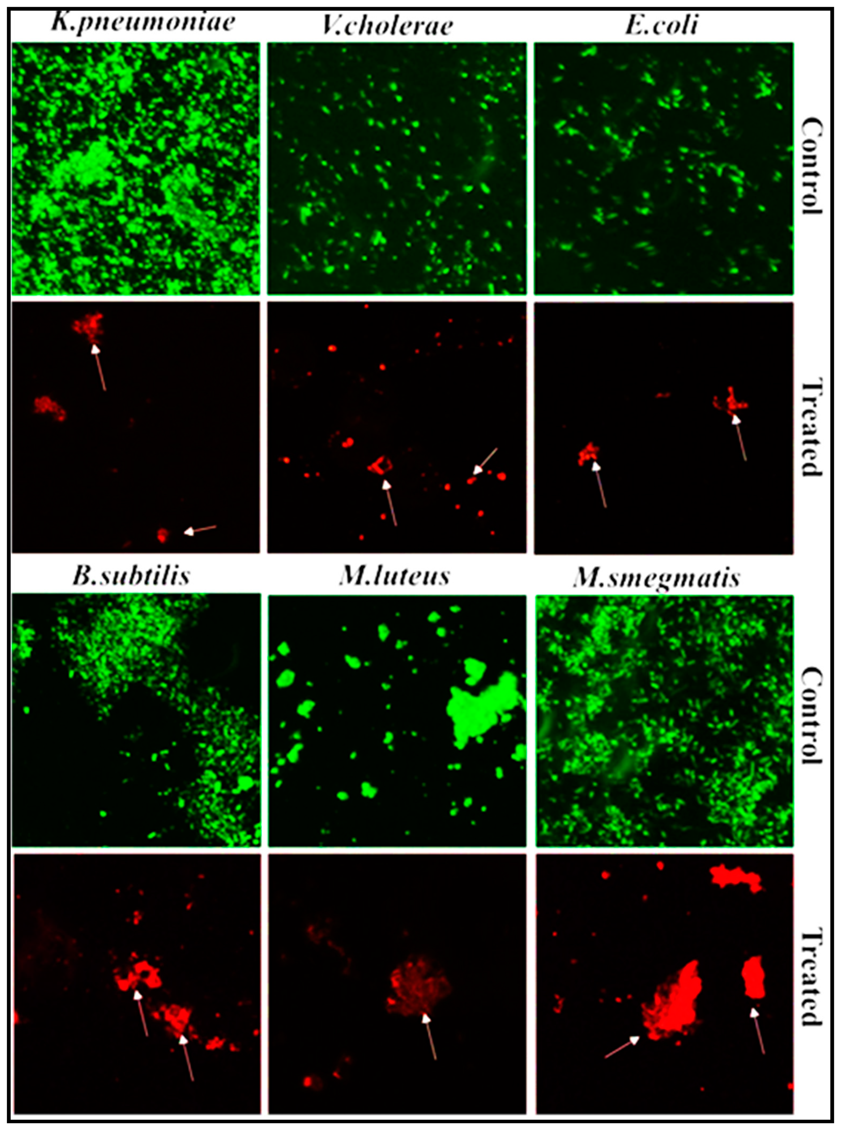 Biology 10 00473 g009