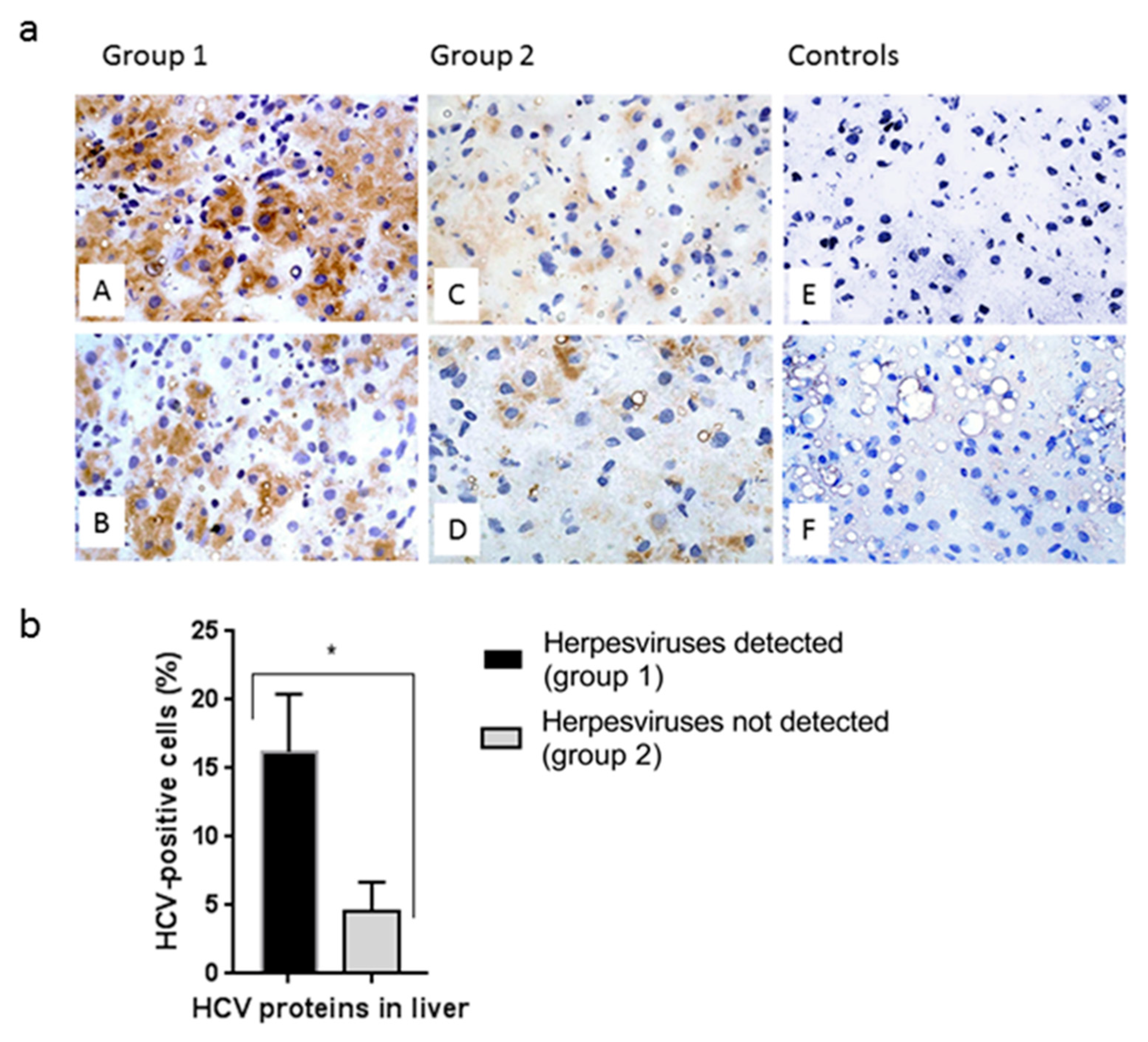 Biology 10 00483 g003 Biology 10 00483 g003