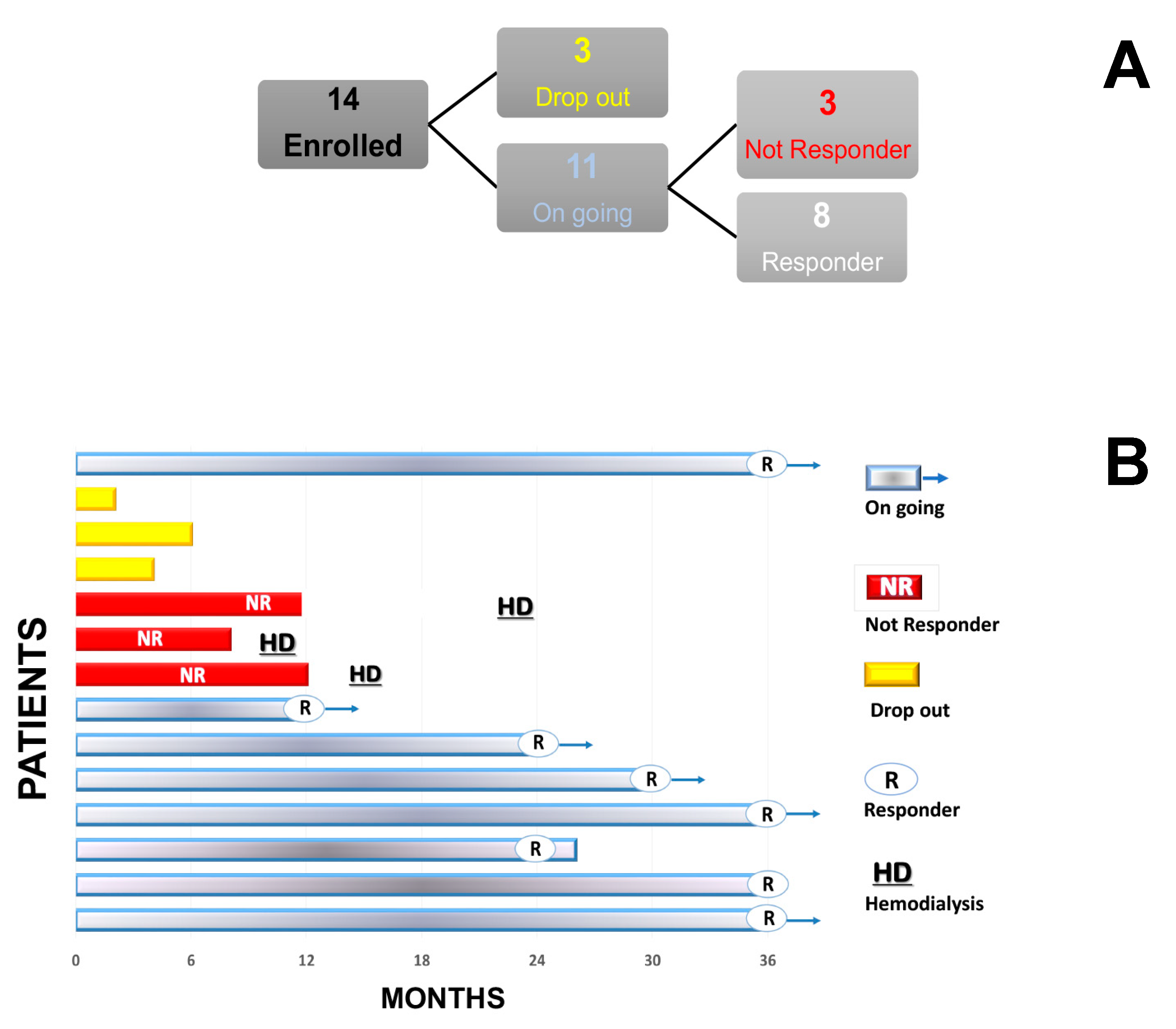 Biology Free Full Text Photopheresis Abates The Anti Hla Antibody Titer And Renal Failure Progression In Chronic Antibody Mediated Rejection Html