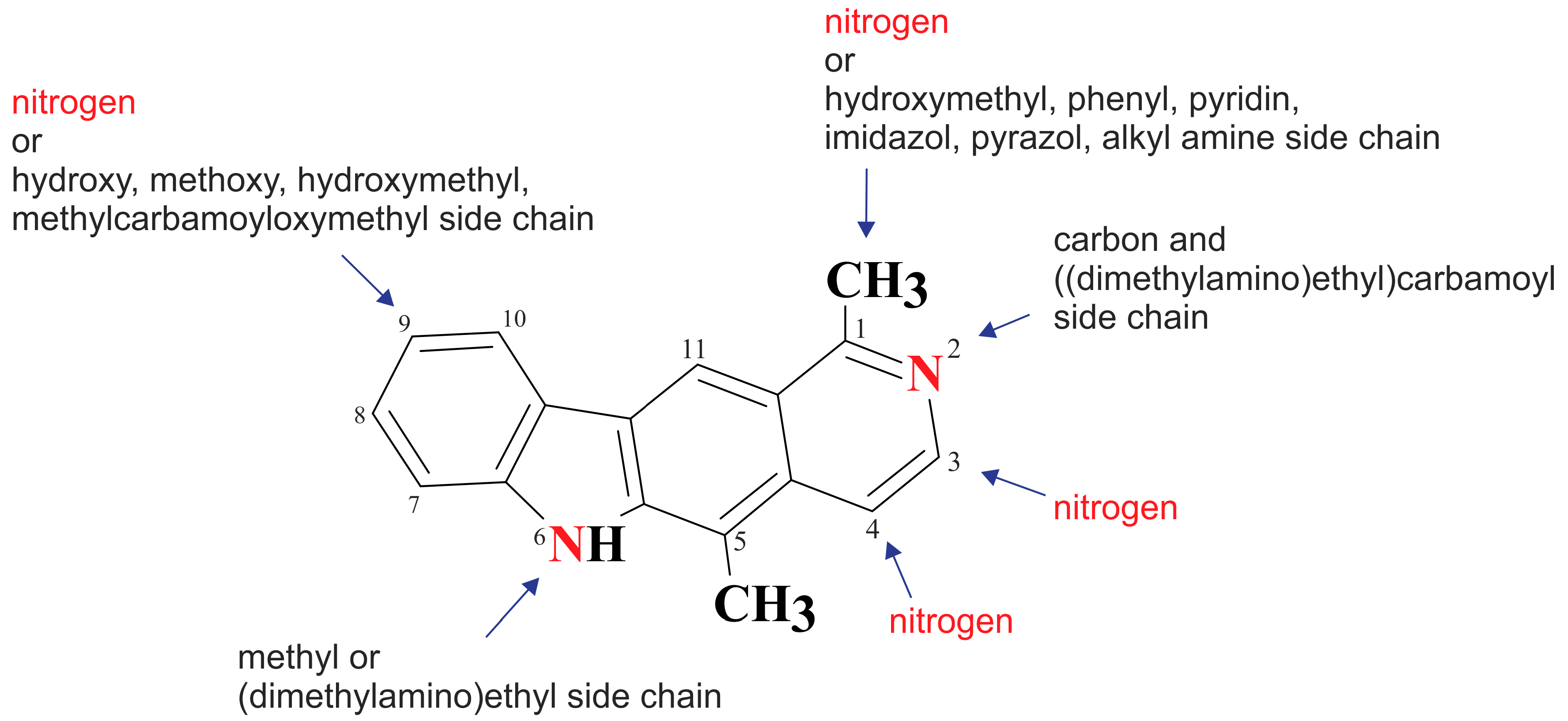 Biology 10 00564 g002 Biology 10 00564 g002