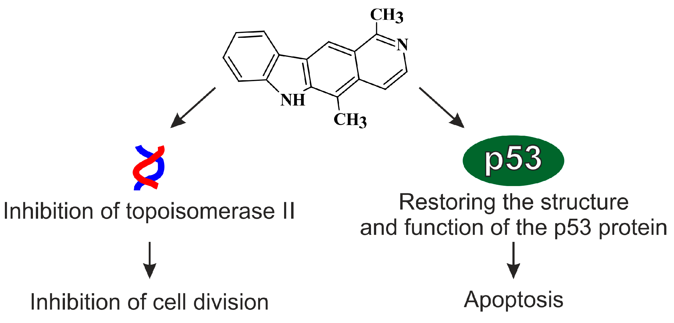 Biology 10 00564 g003 Biology 10 00564 g003