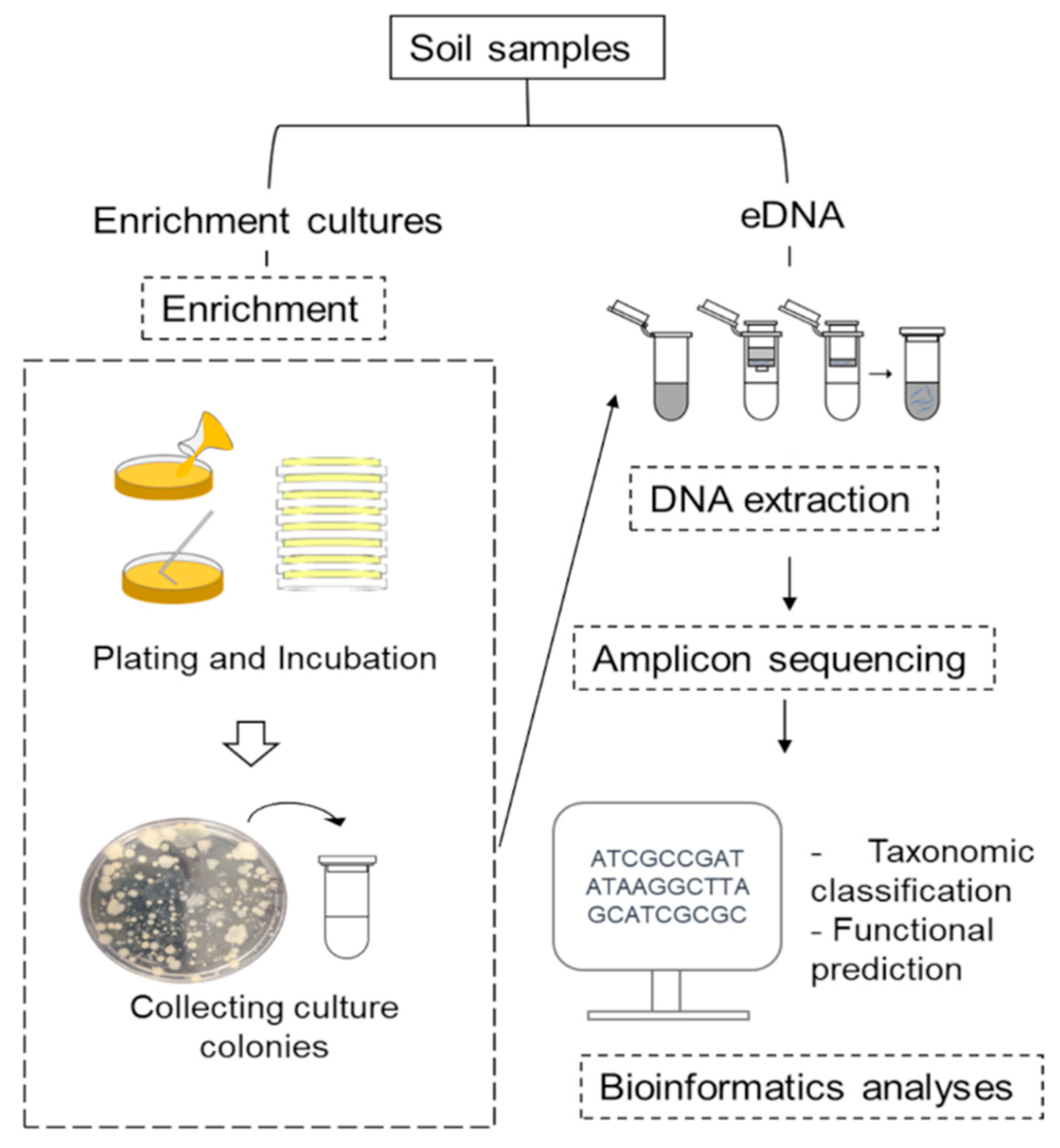 Biology 10 00569 g001
