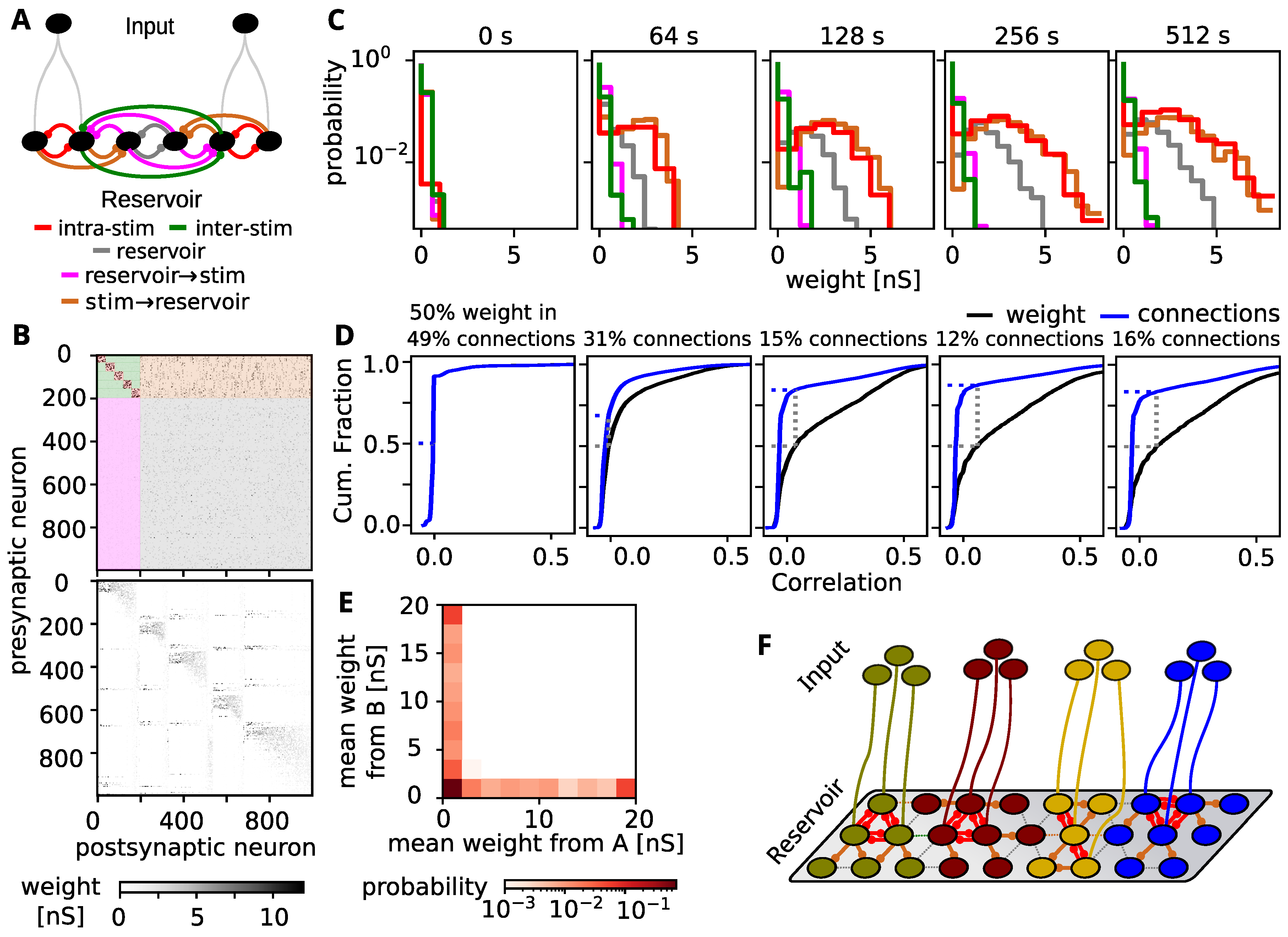 Biology Free Full Text Self Anized Structuring Of Recurrent Neuronal Works For Reliable Information Transmission Html