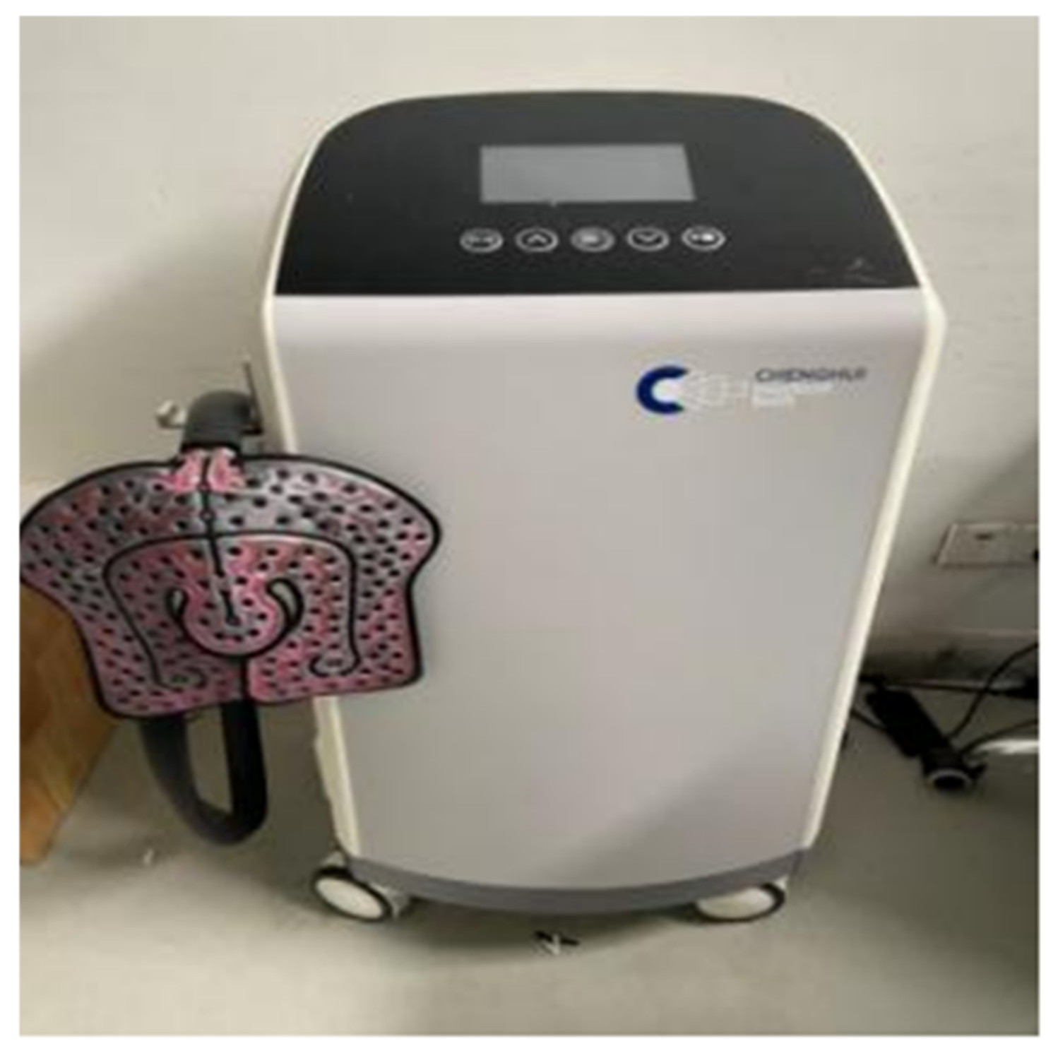 Biology 10 00591 g002