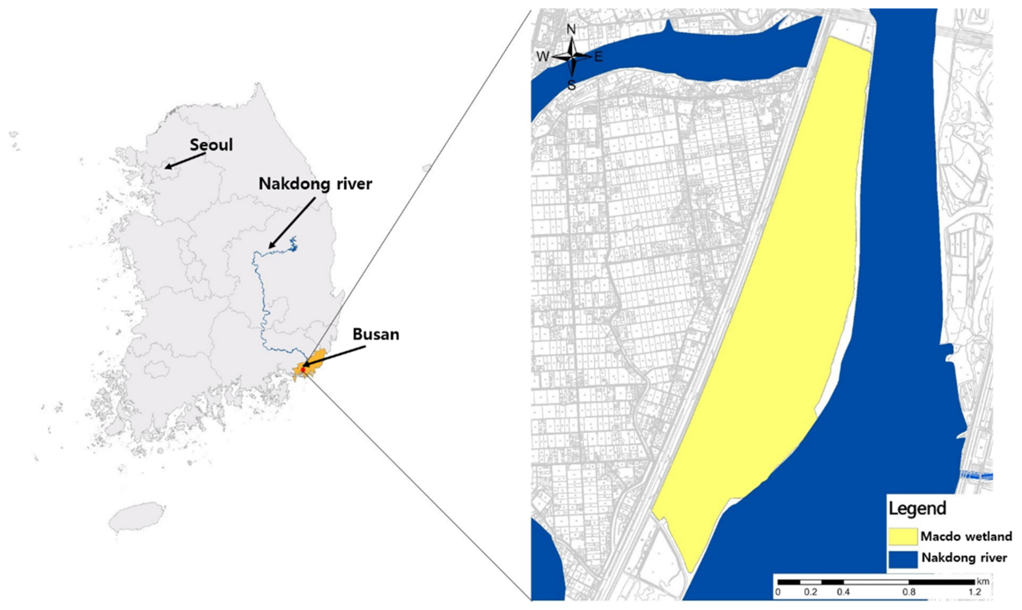 Biology 10 00598 g001