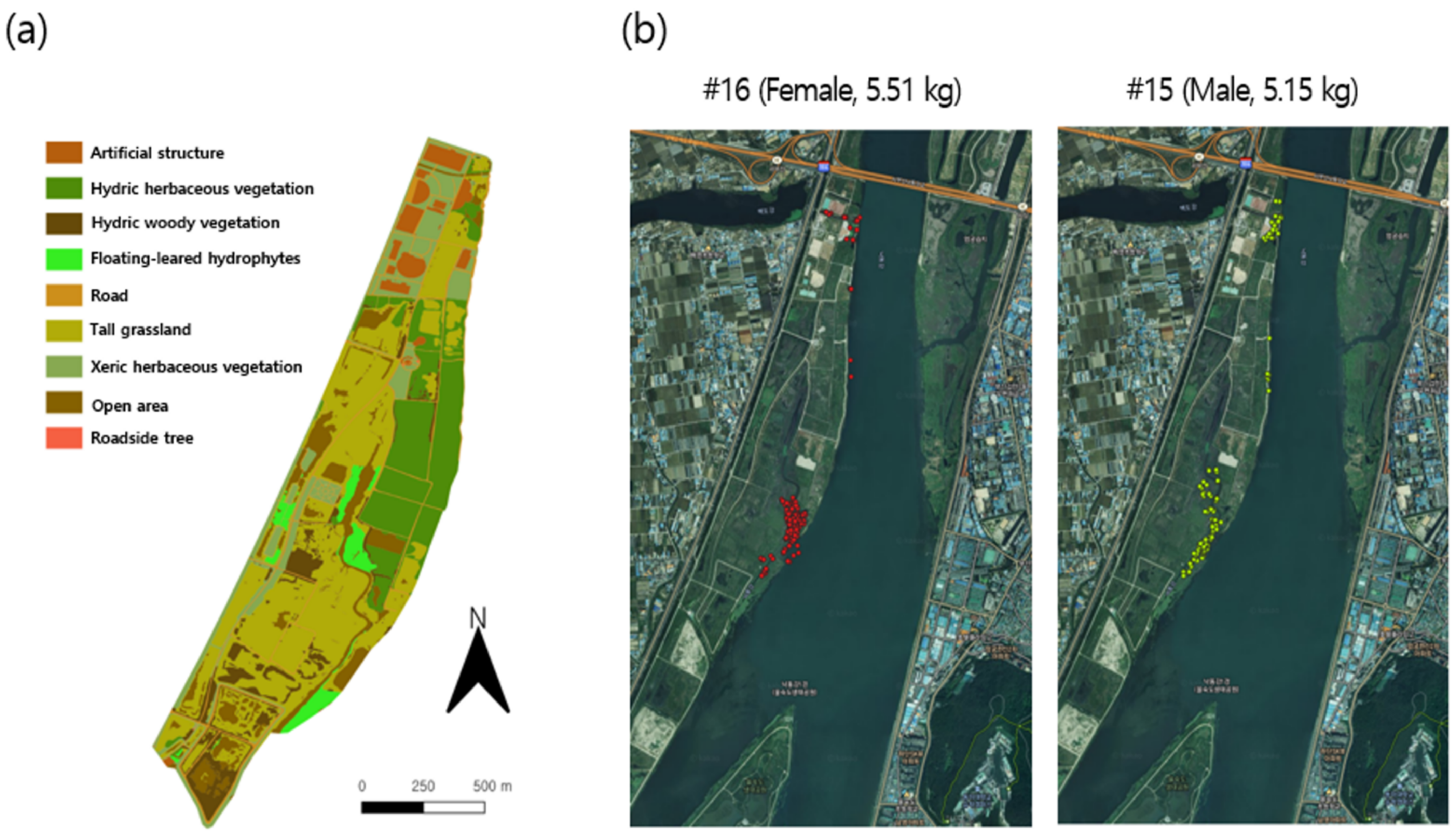 Biology 10 00598 g002